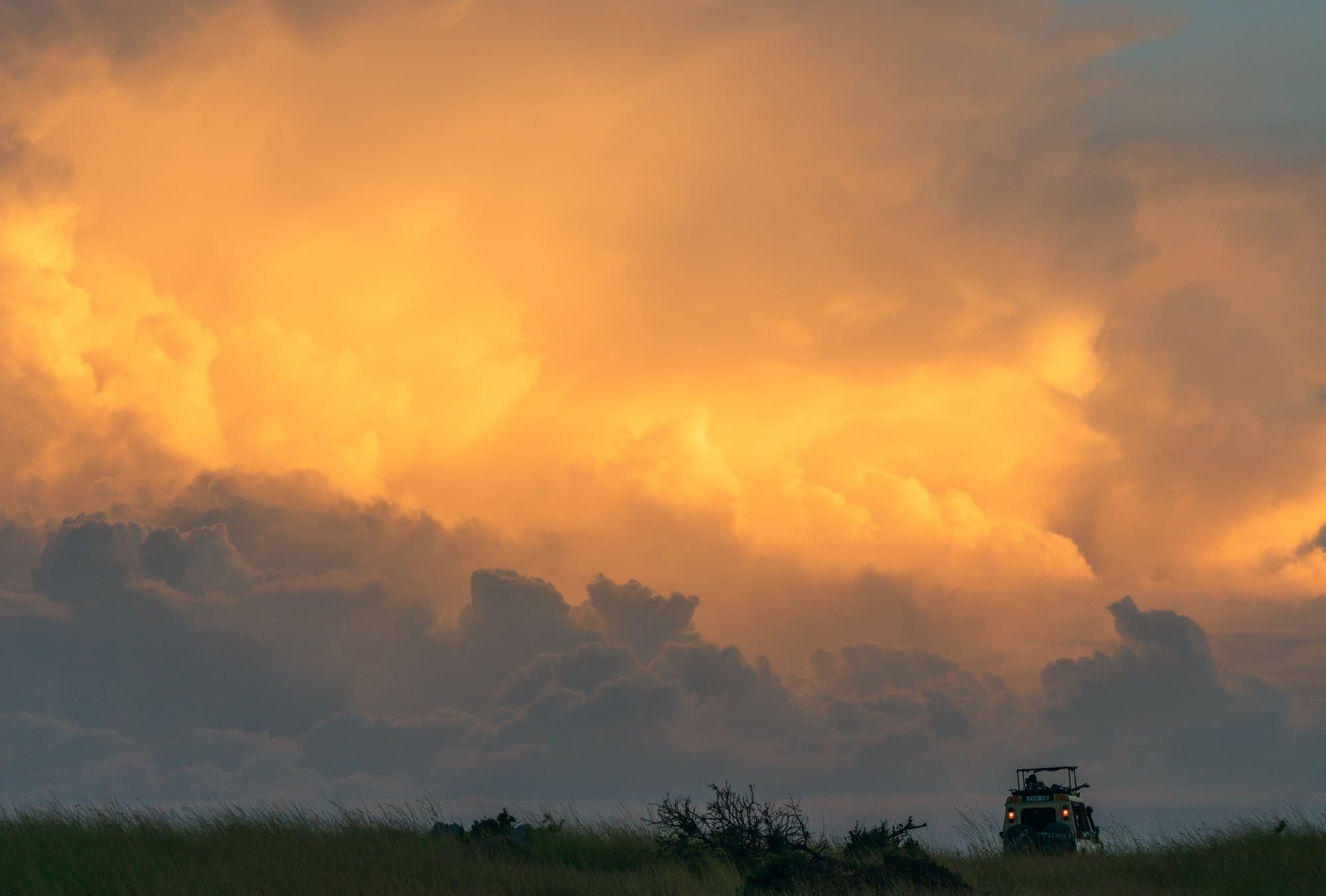 Northern Serengeti photo 49
