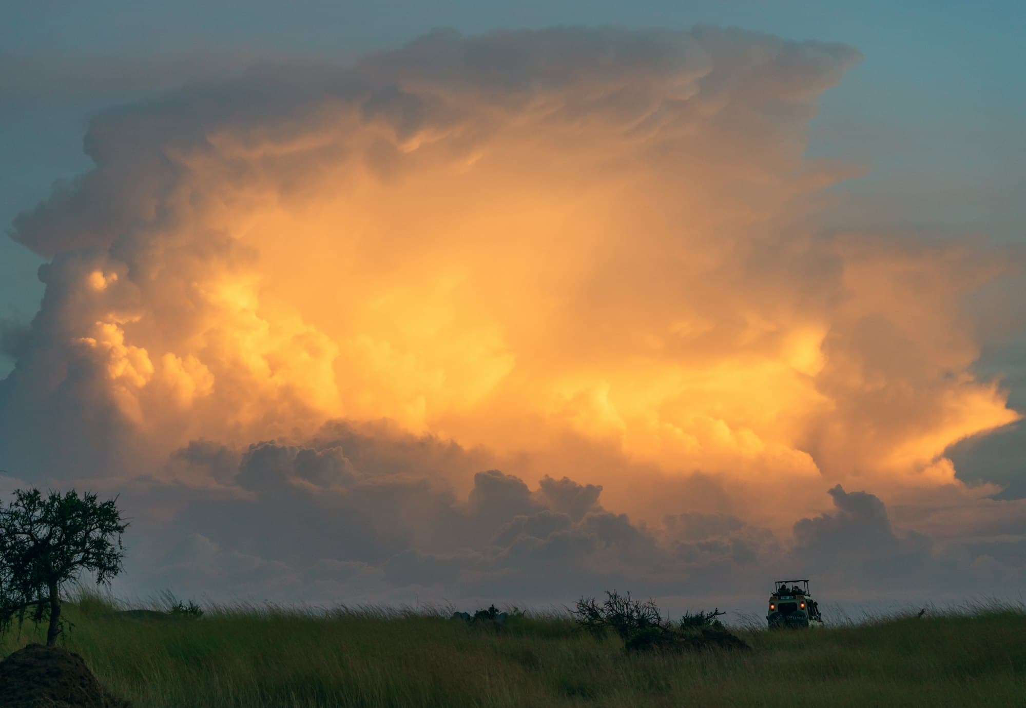 Northern Serengeti photo 52