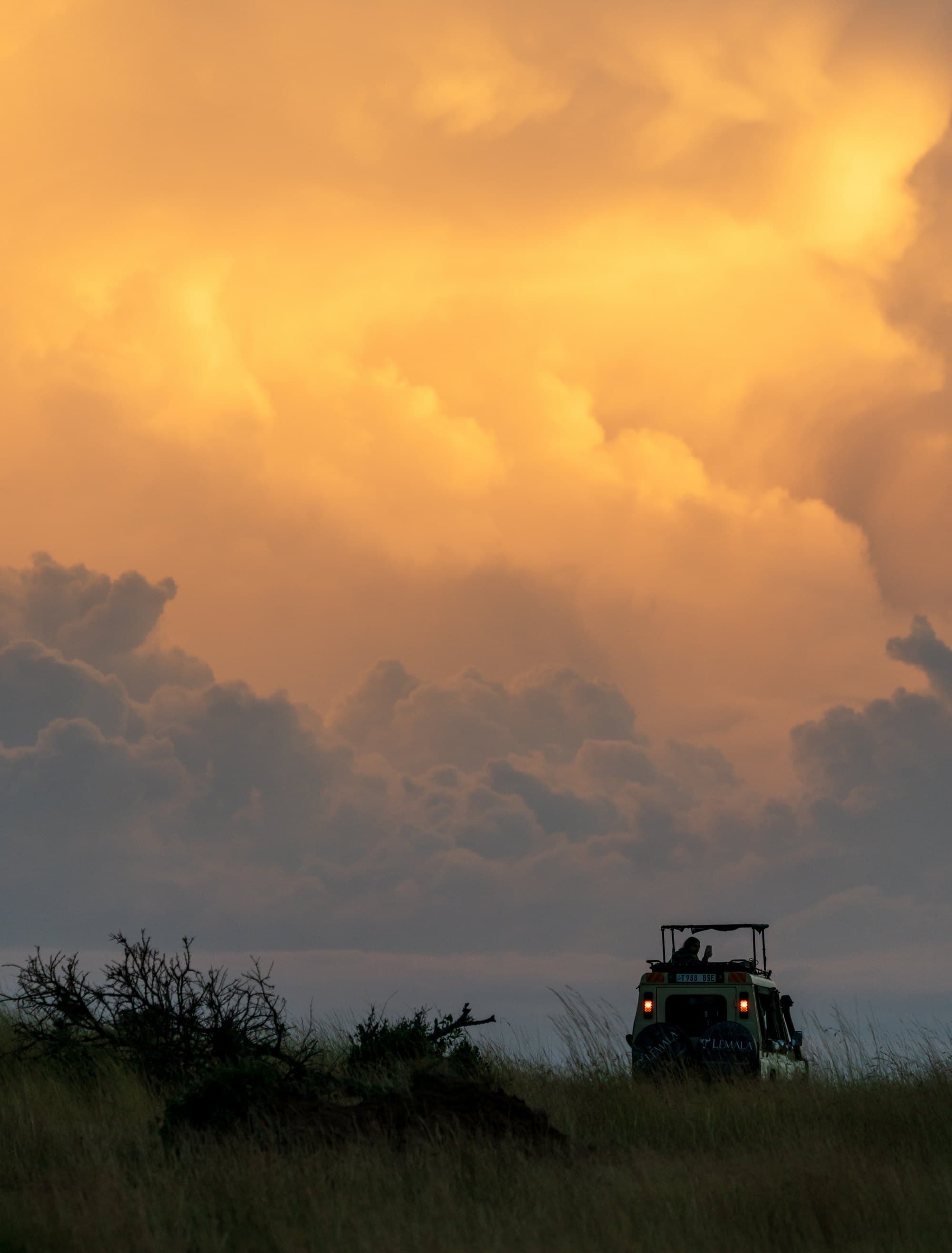 Northern Serengeti photo 50