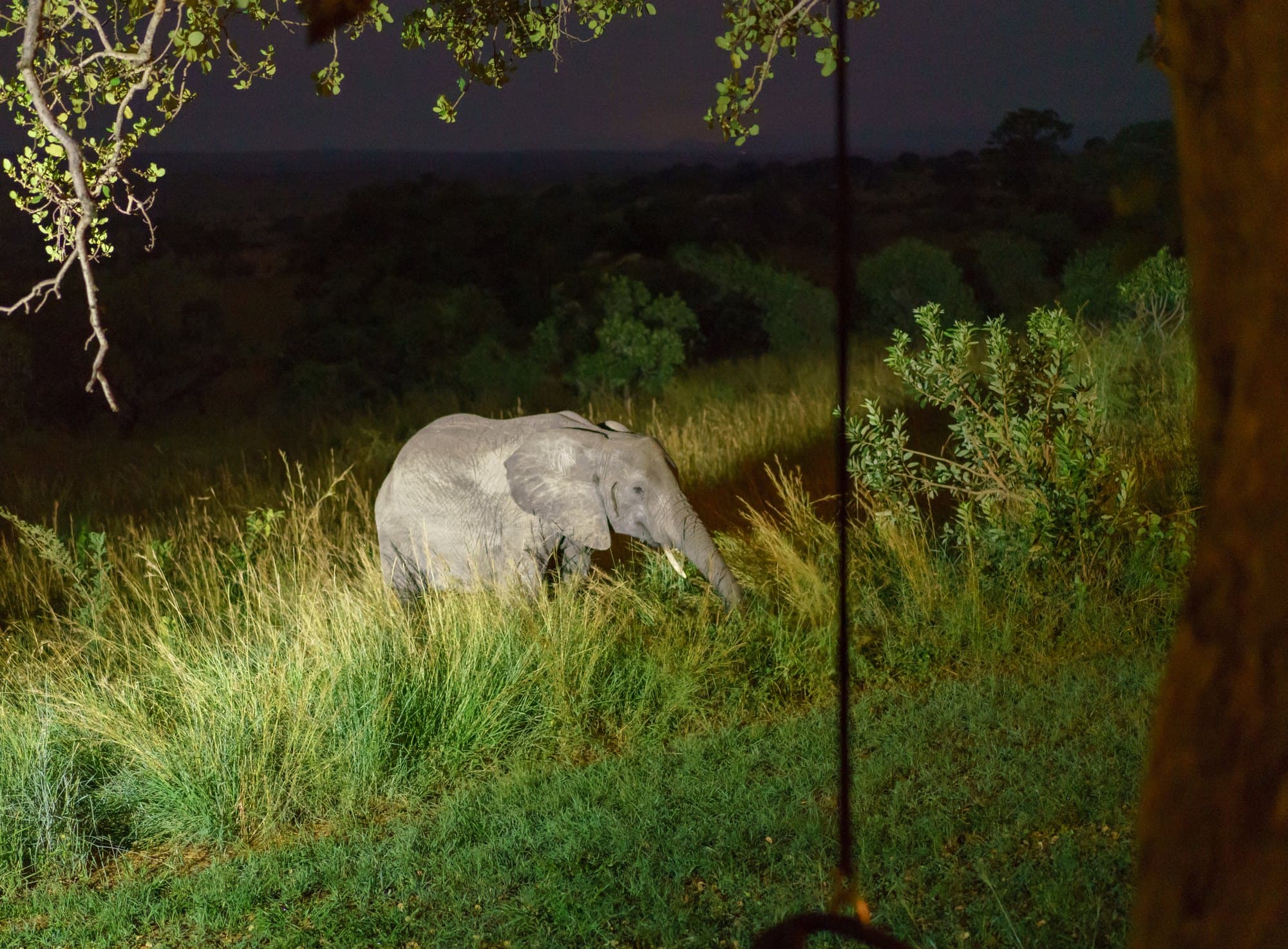 Northern Serengeti photo 48