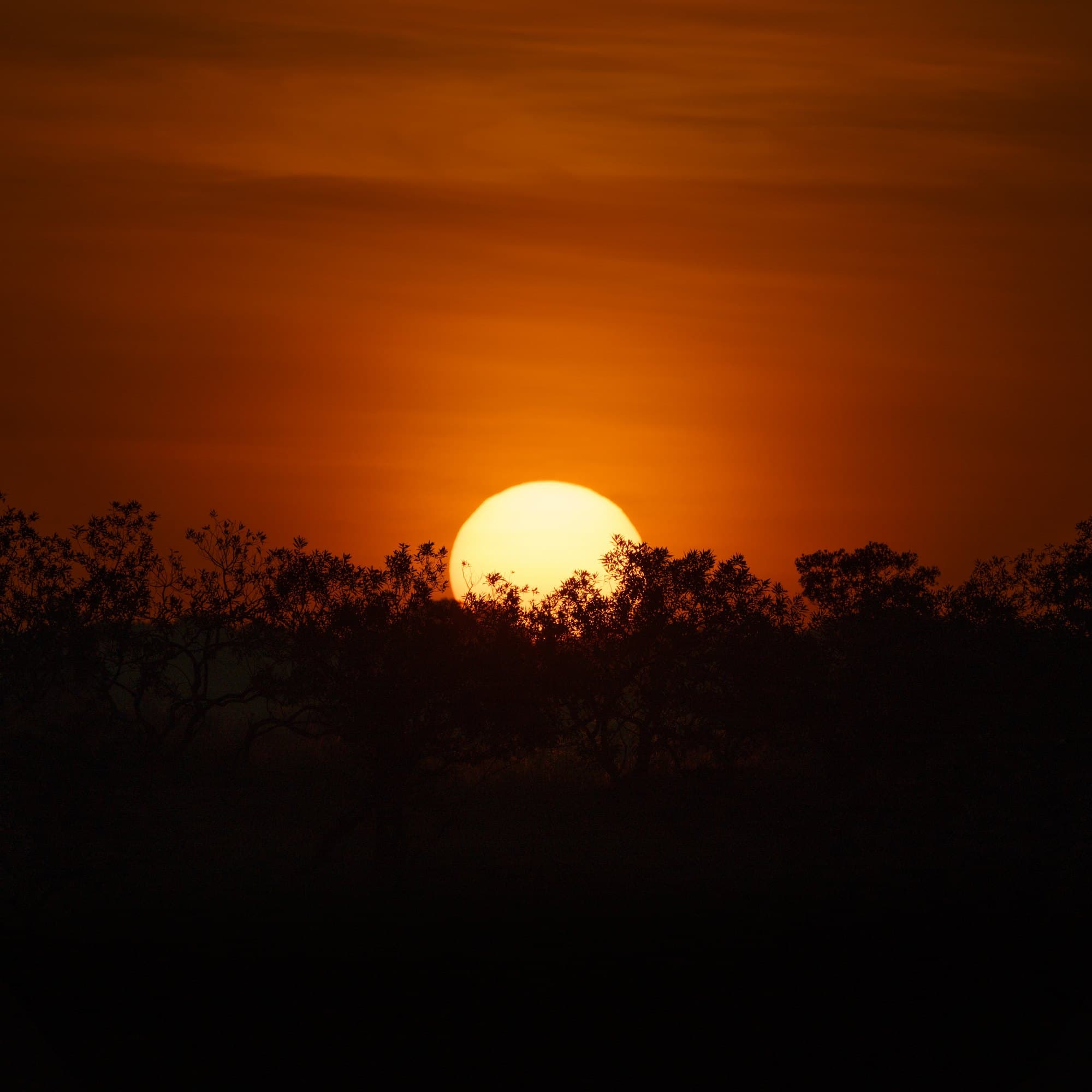 Northern Serengeti photo 36
