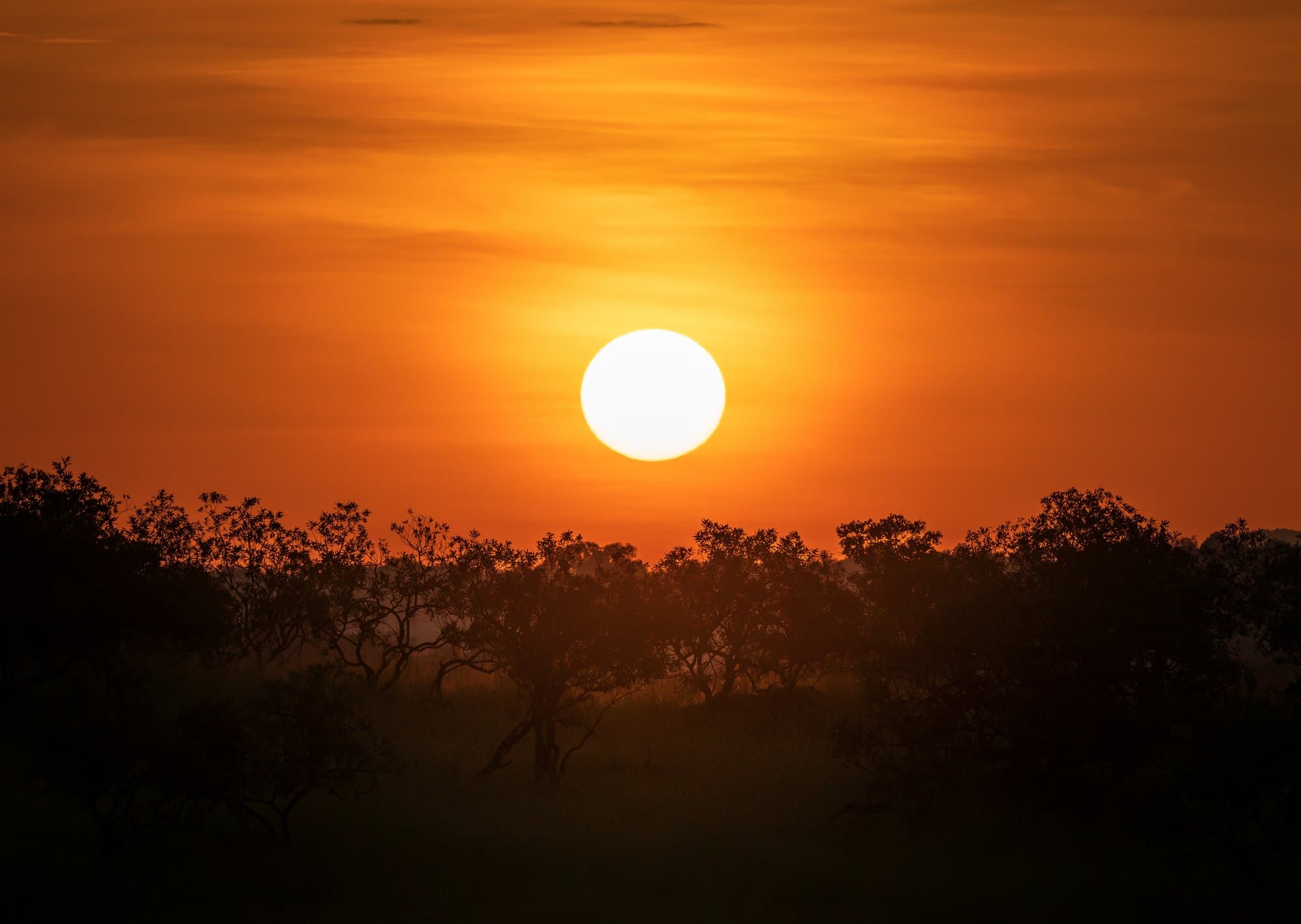 Northern Serengeti photo 37