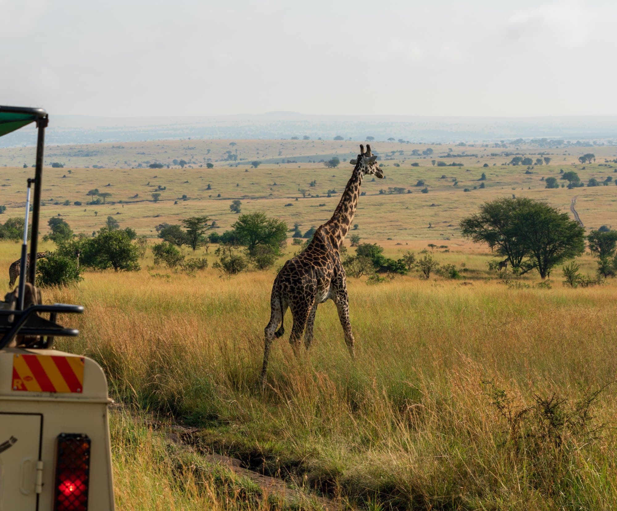 Northern Serengeti photo 38