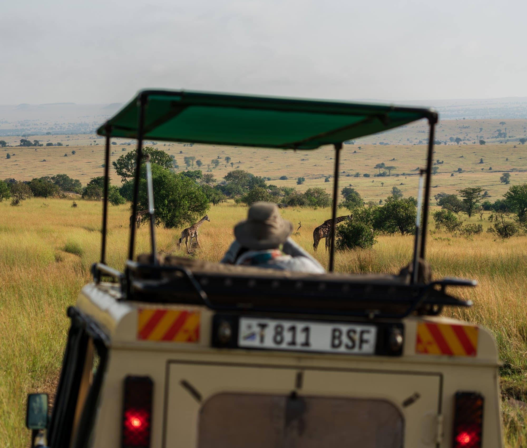 Northern Serengeti photo 39