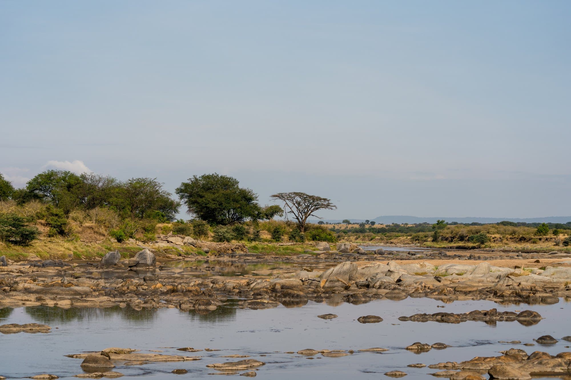 Northern Serengeti photo 44