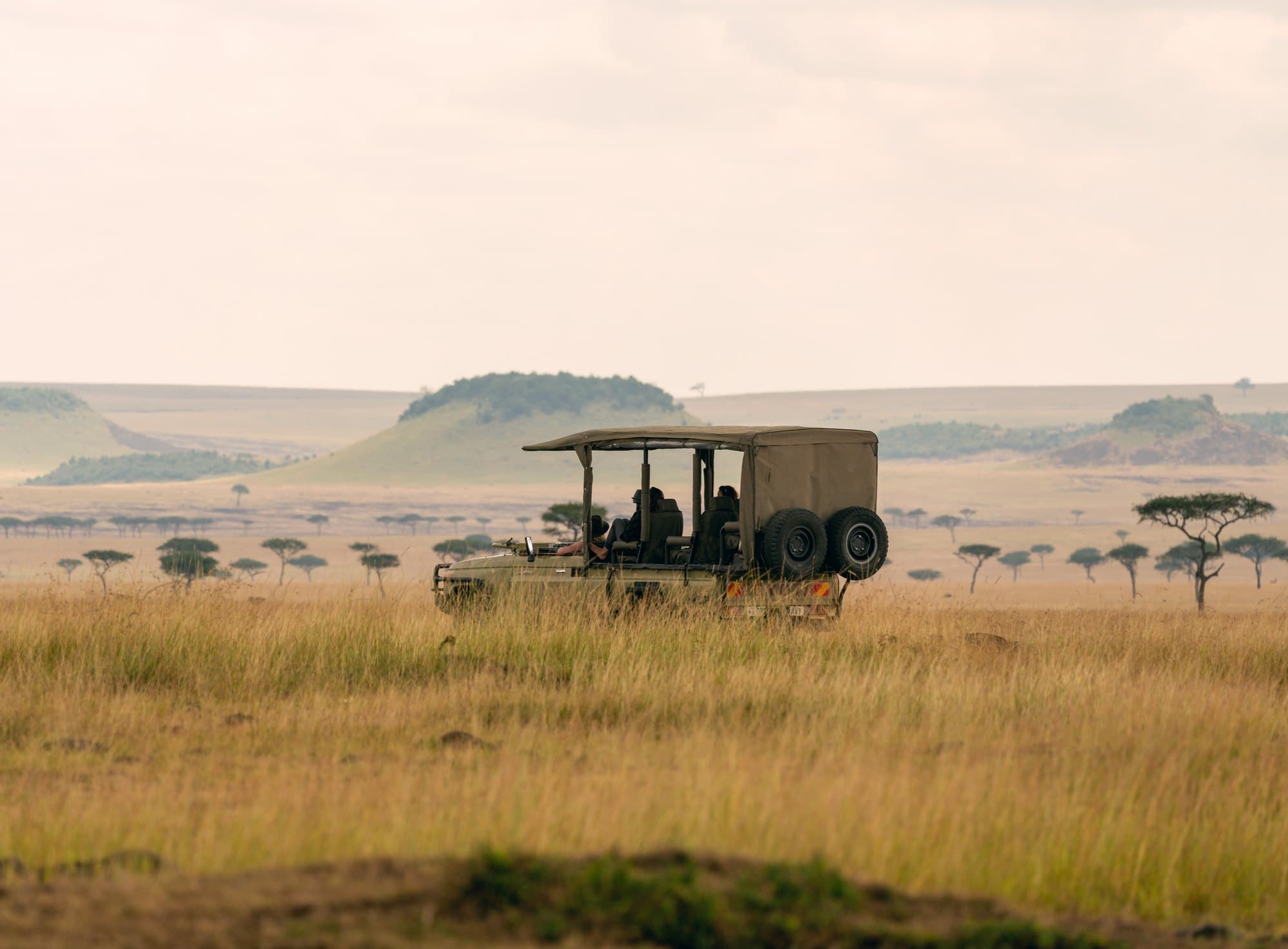 Northern Serengeti photo 25