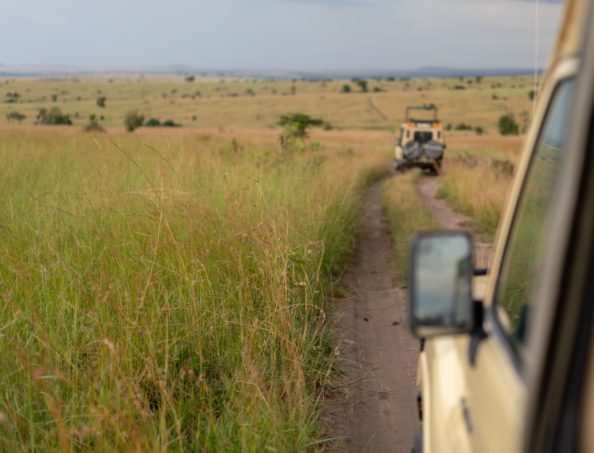 Northern Serengeti photo 100