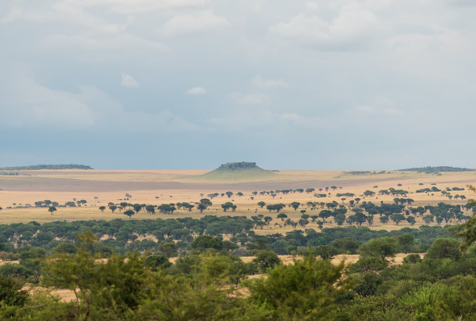 Northern Serengeti photo 20