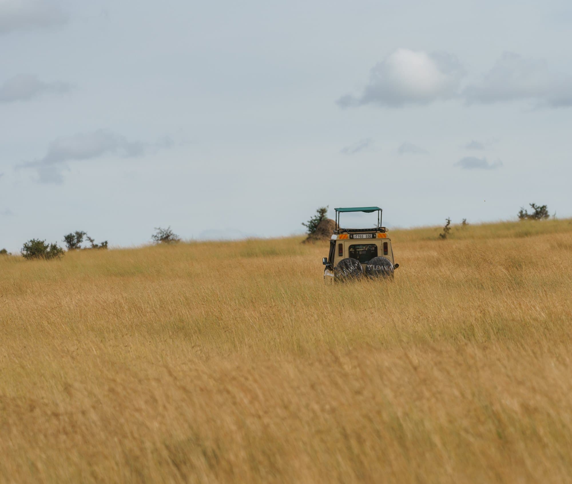 Northern Serengeti photo 7