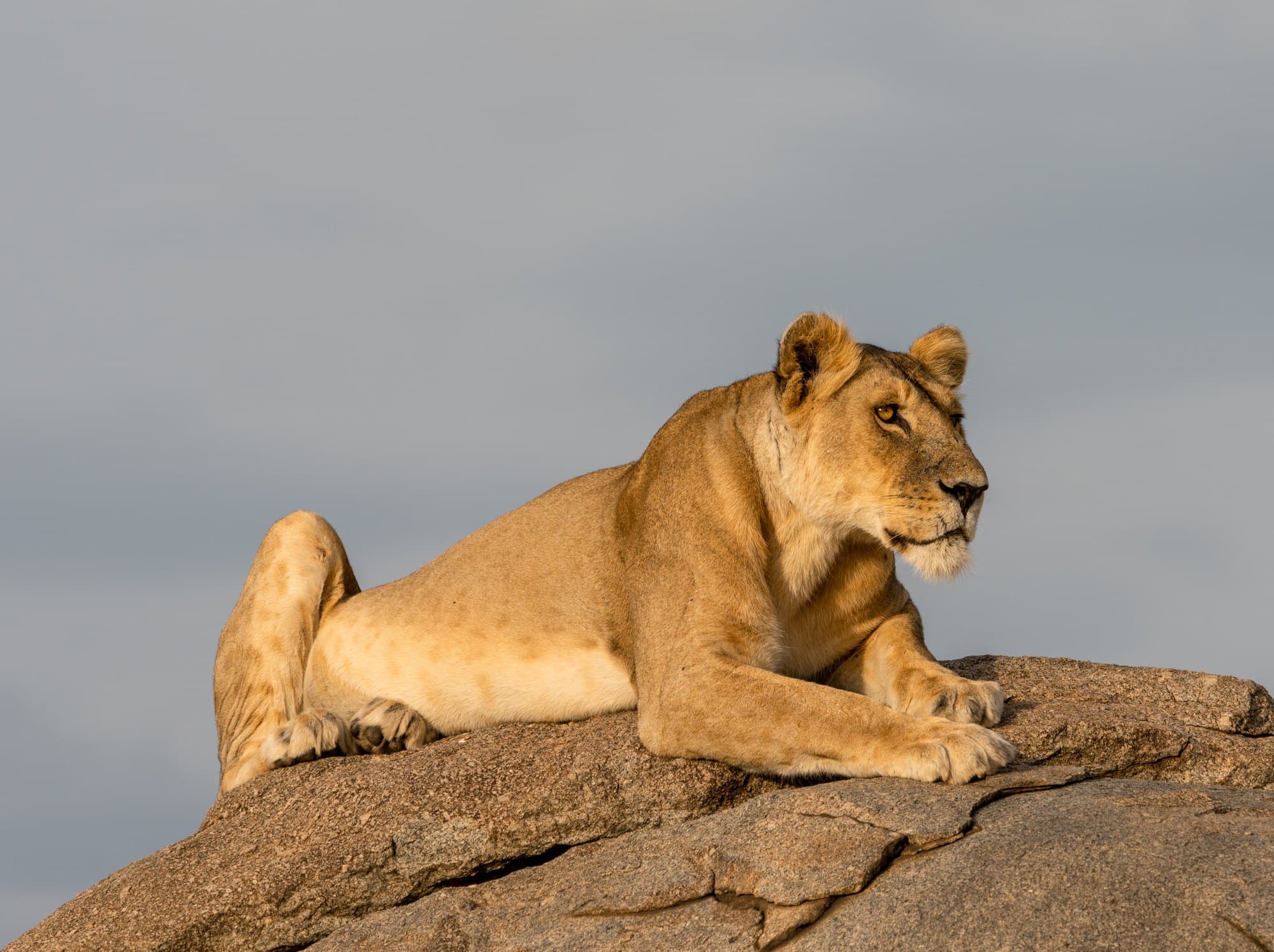Northern Serengeti photo 9