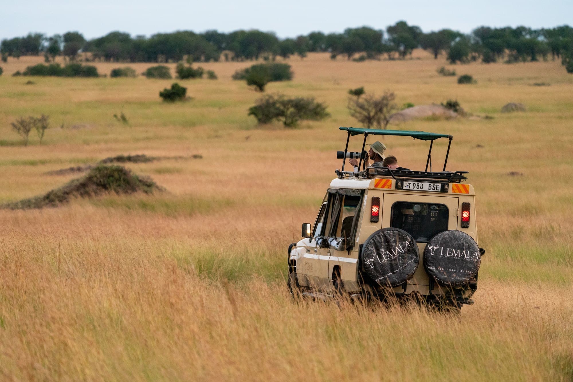 Northern Serengeti photo 15