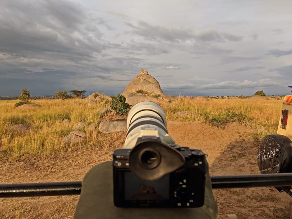Northern Serengeti photo 70