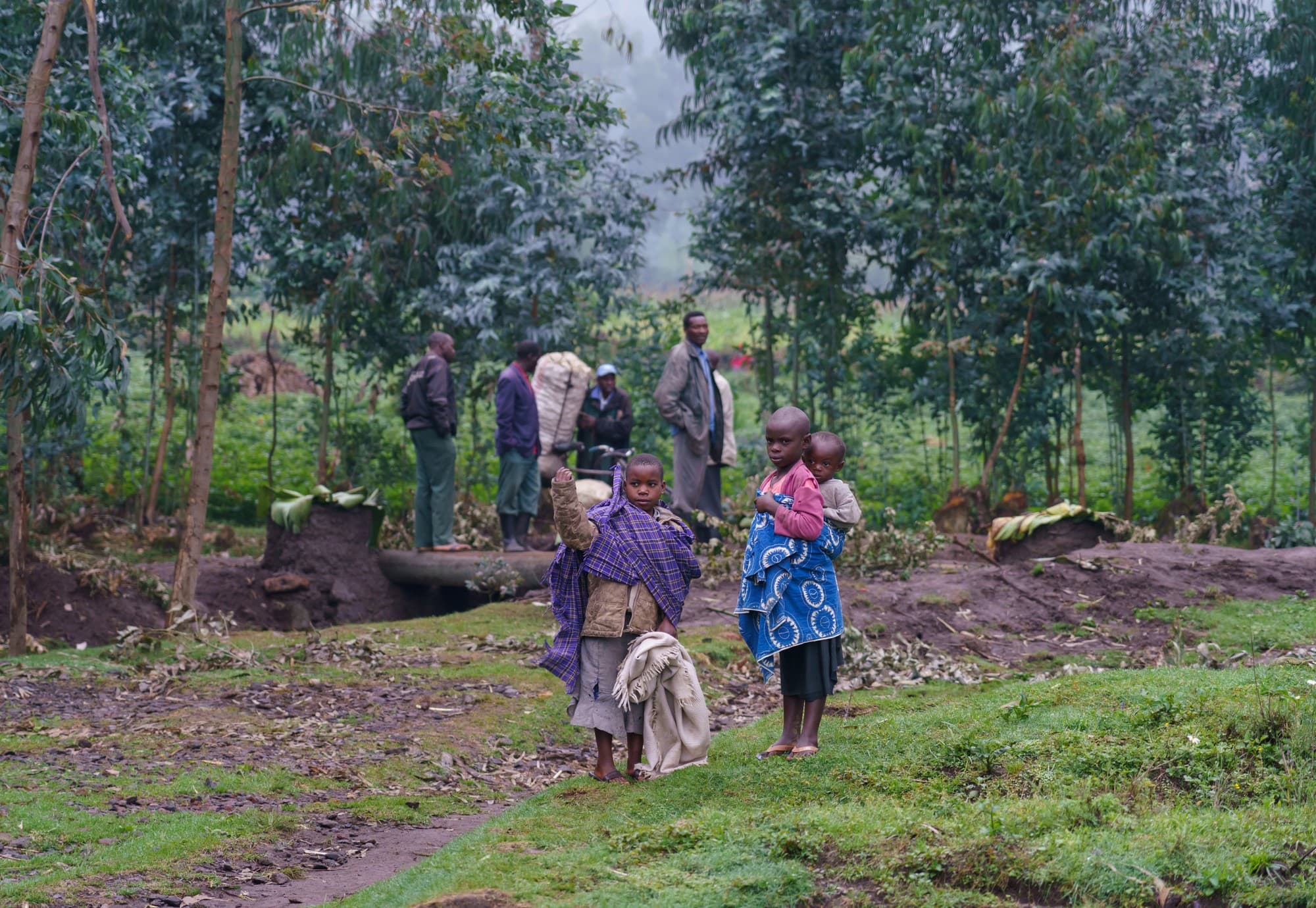 Rwanda photo 5