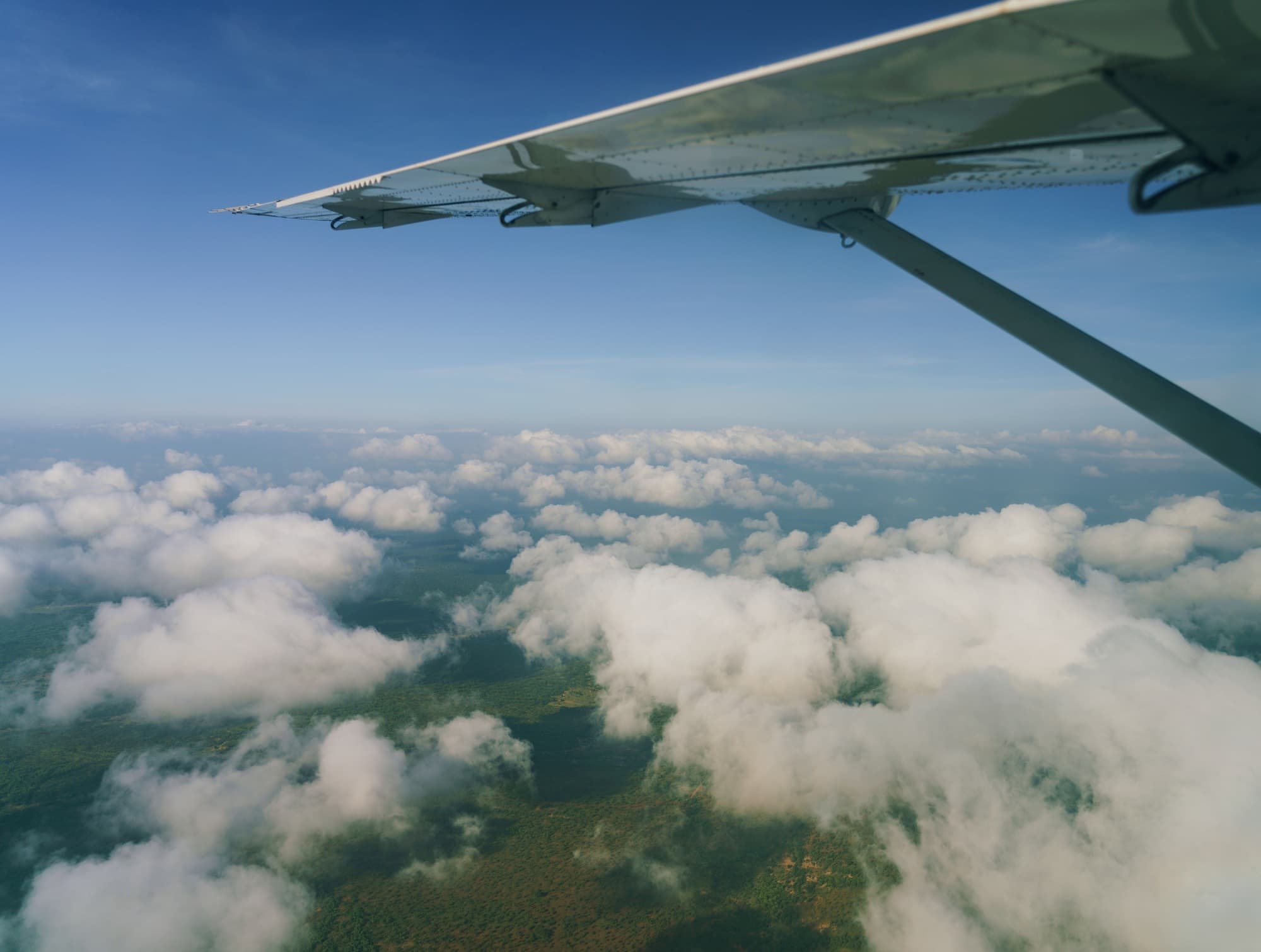 Southern Serengeti photo 118