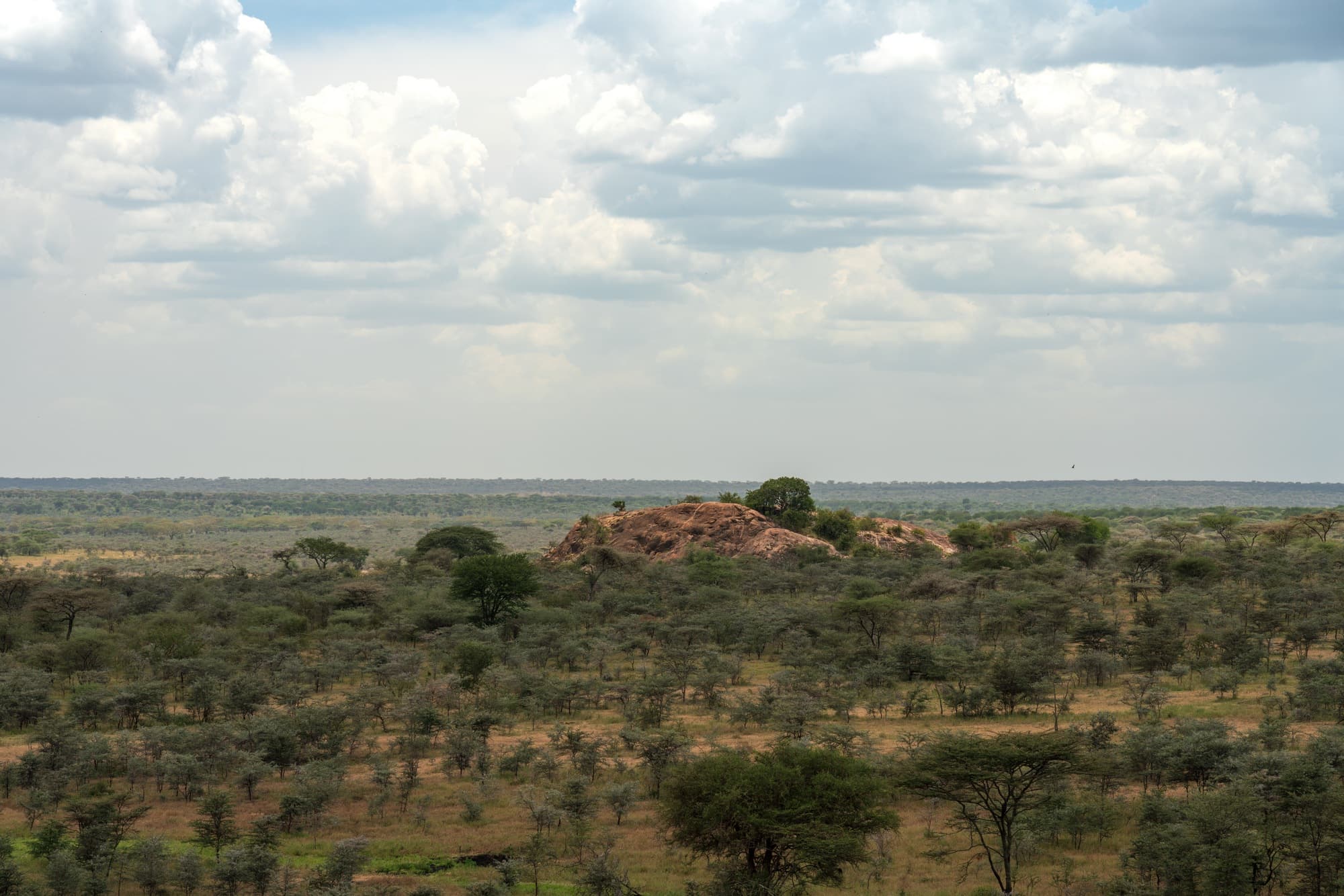 Southern Serengeti photo 105