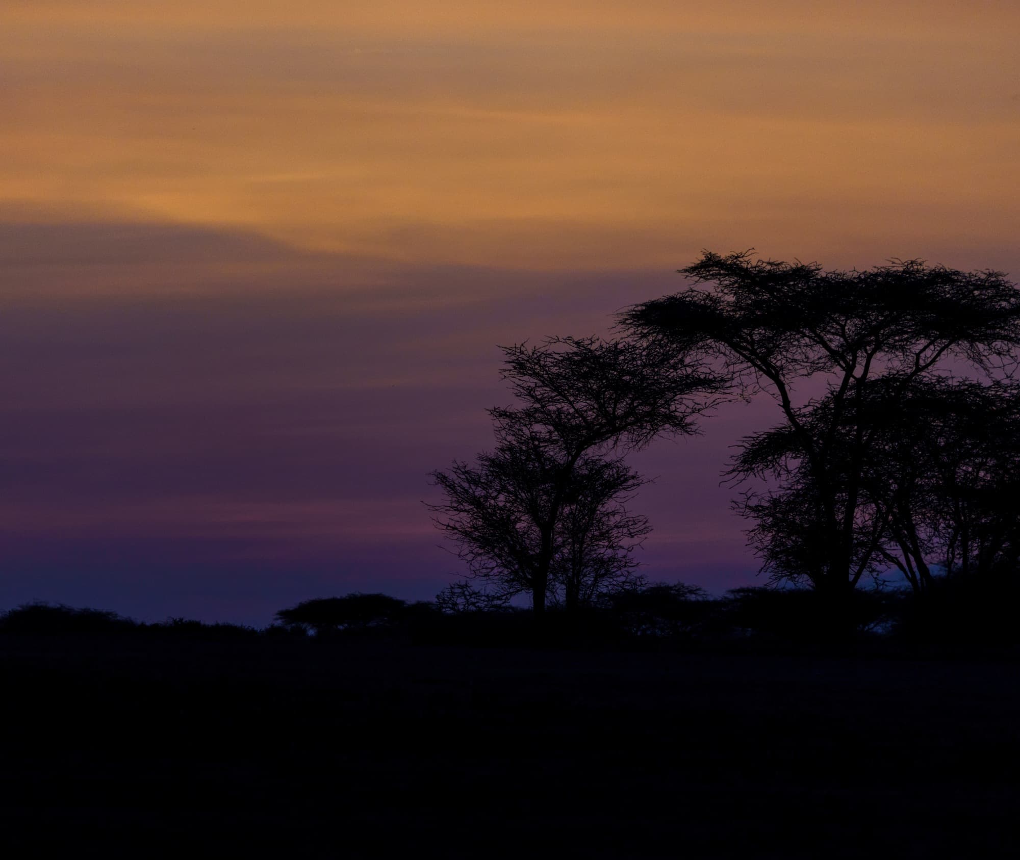 Southern Serengeti photo 73