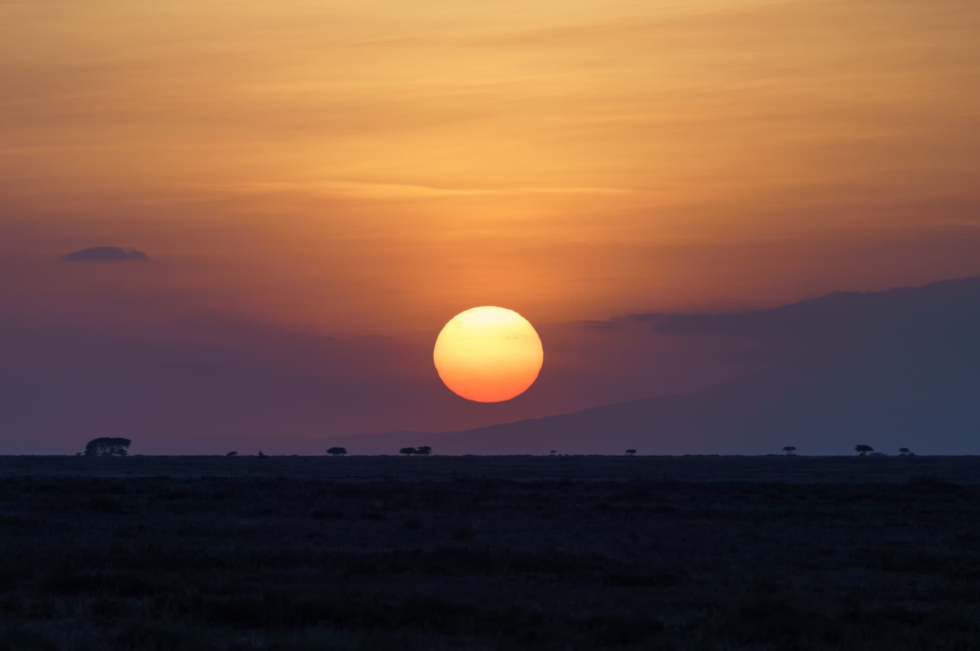 Southern Serengeti photo 82