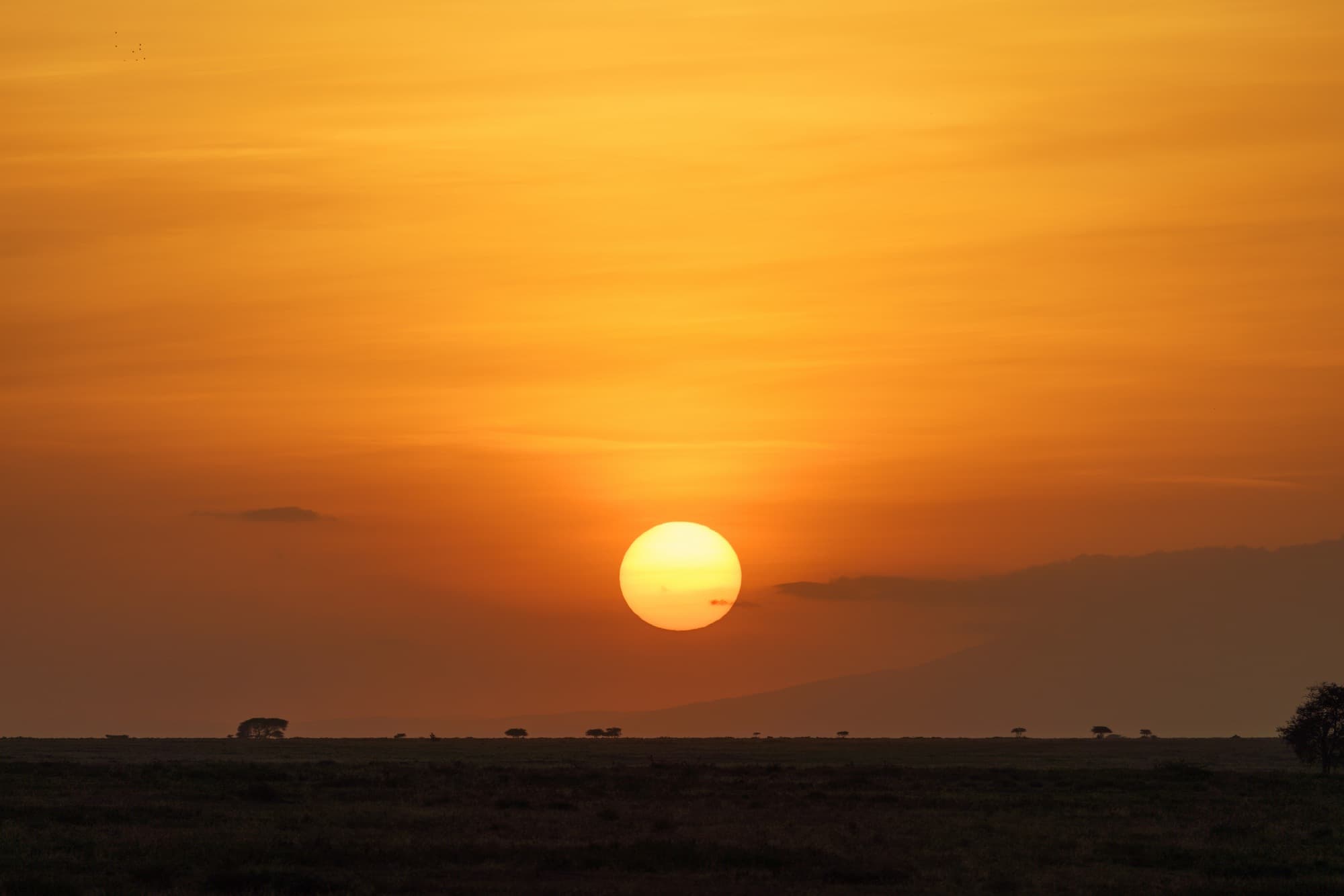 Southern Serengeti photo 81
