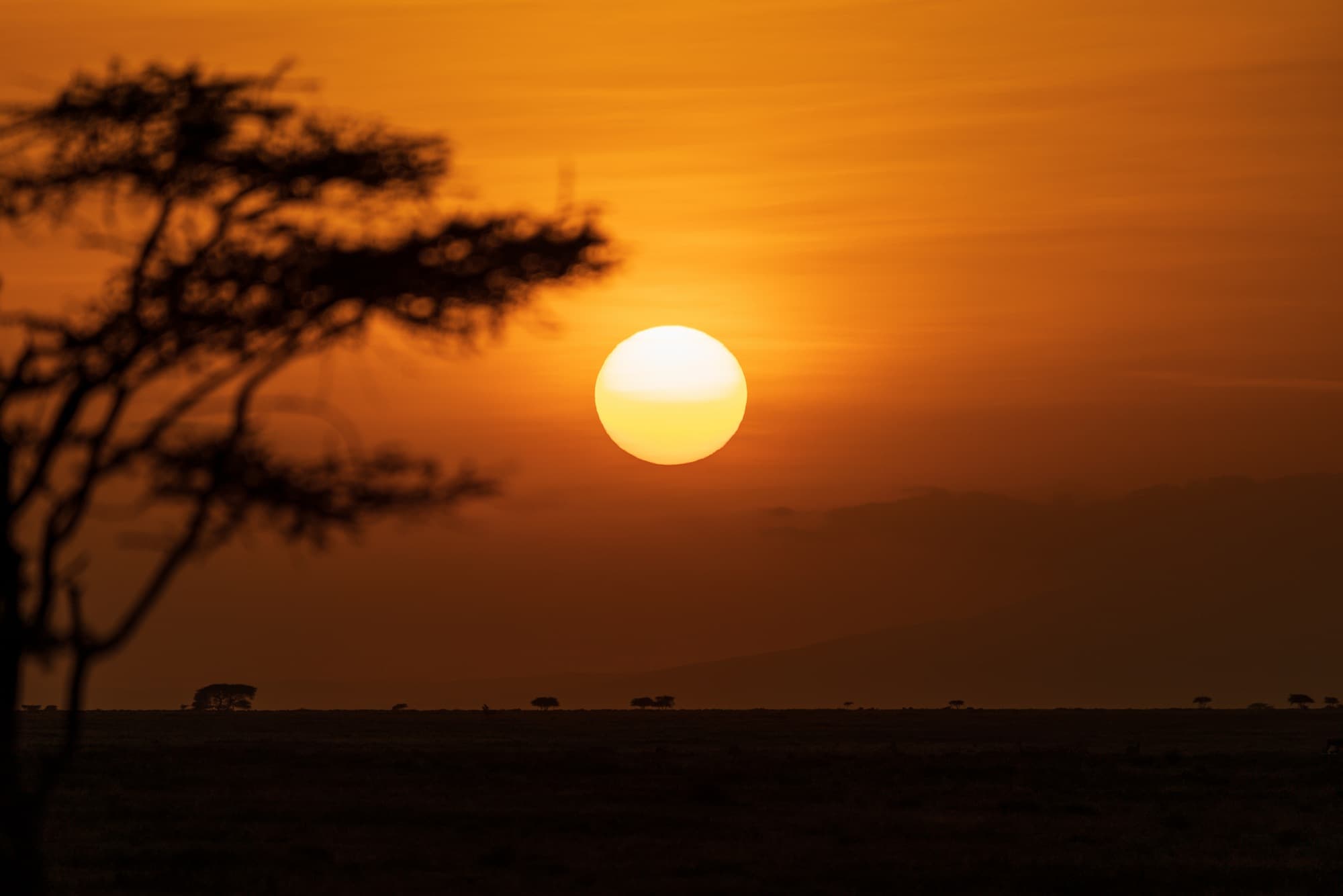 Southern Serengeti photo 83