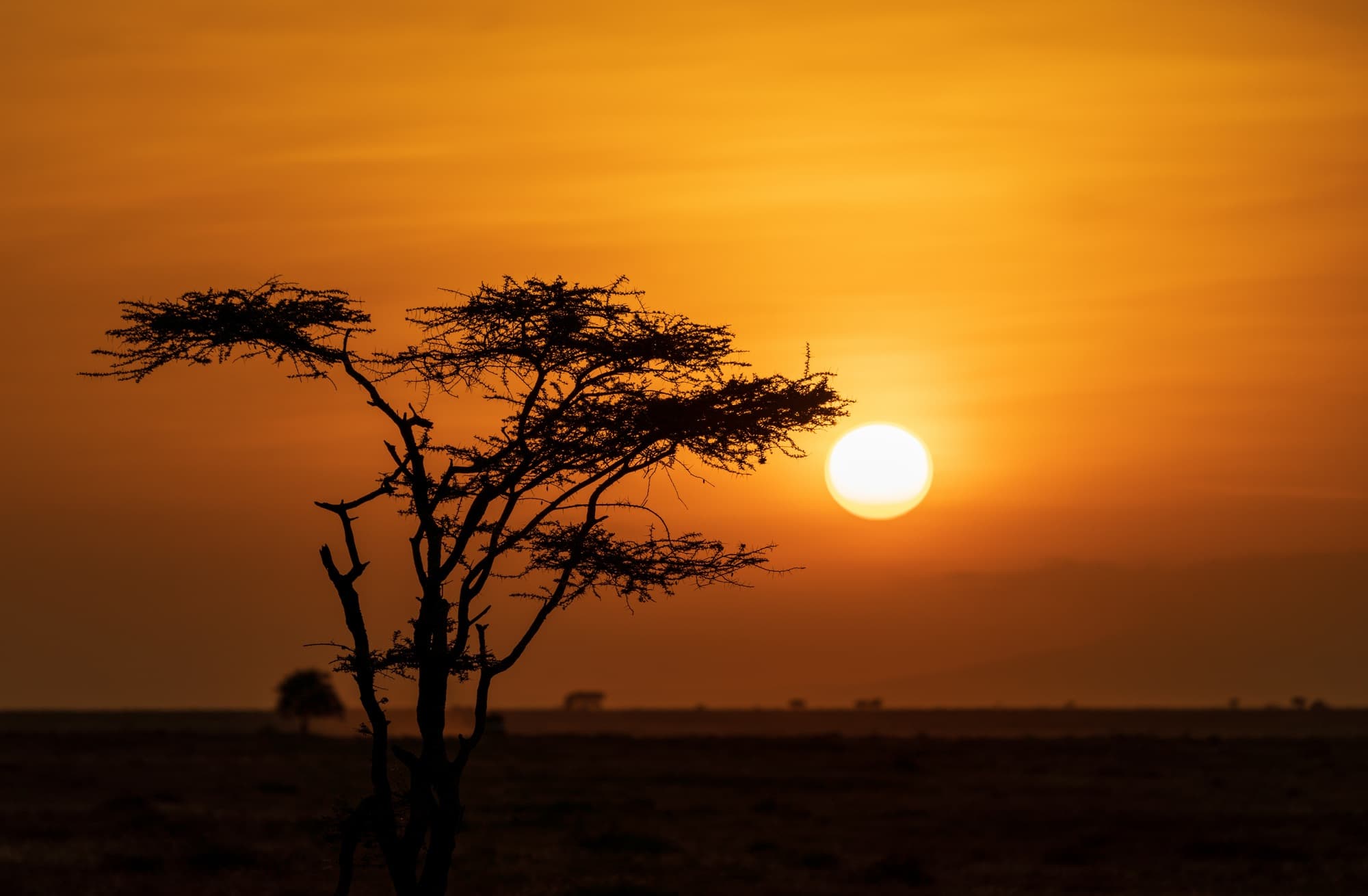 Southern Serengeti photo 84