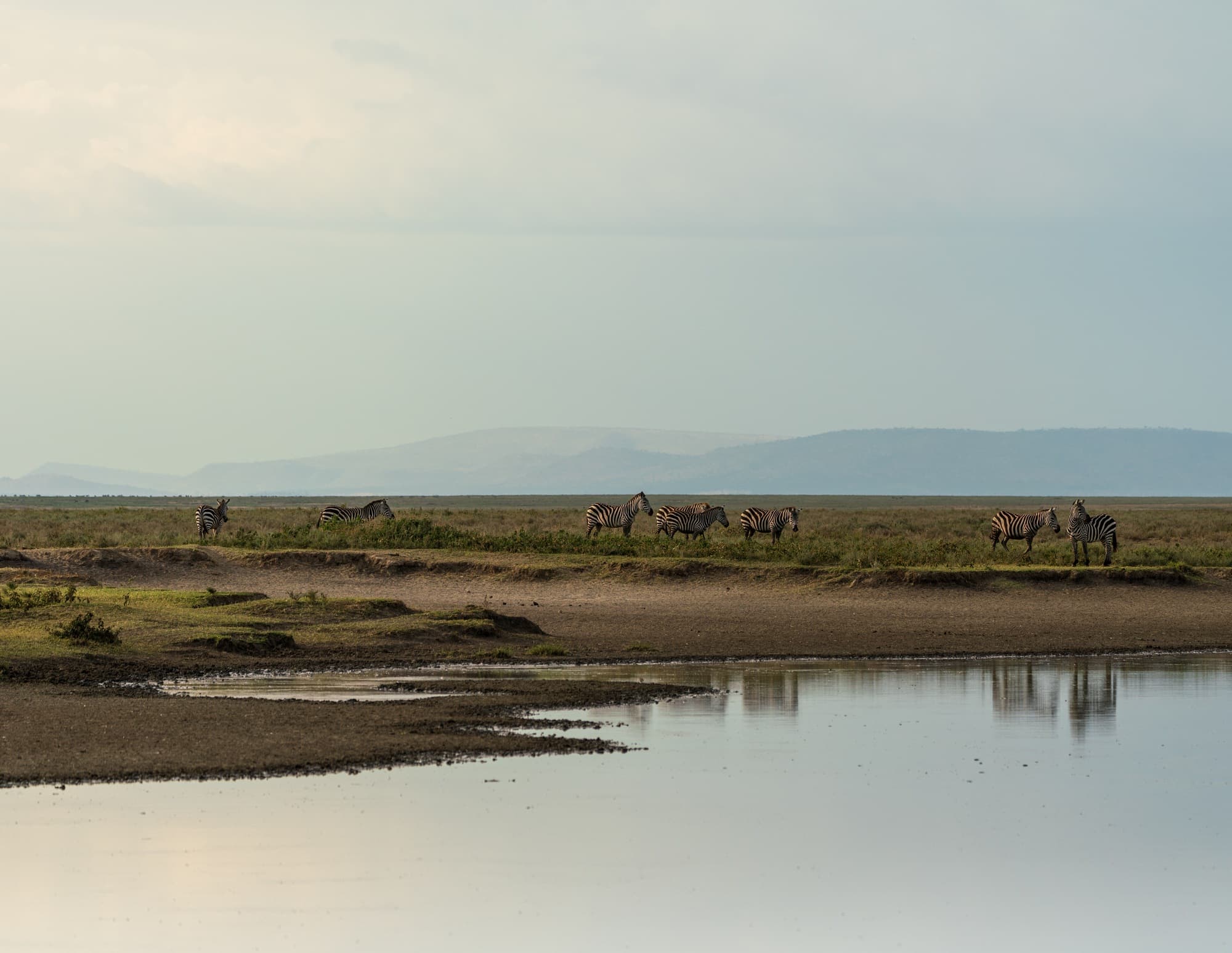 Southern Serengeti photo 61
