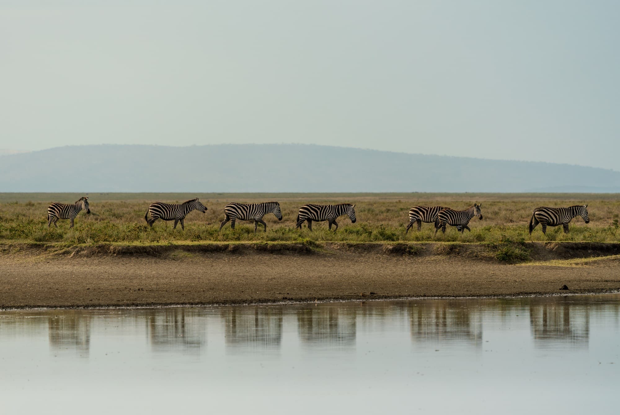 Southern Serengeti photo 59