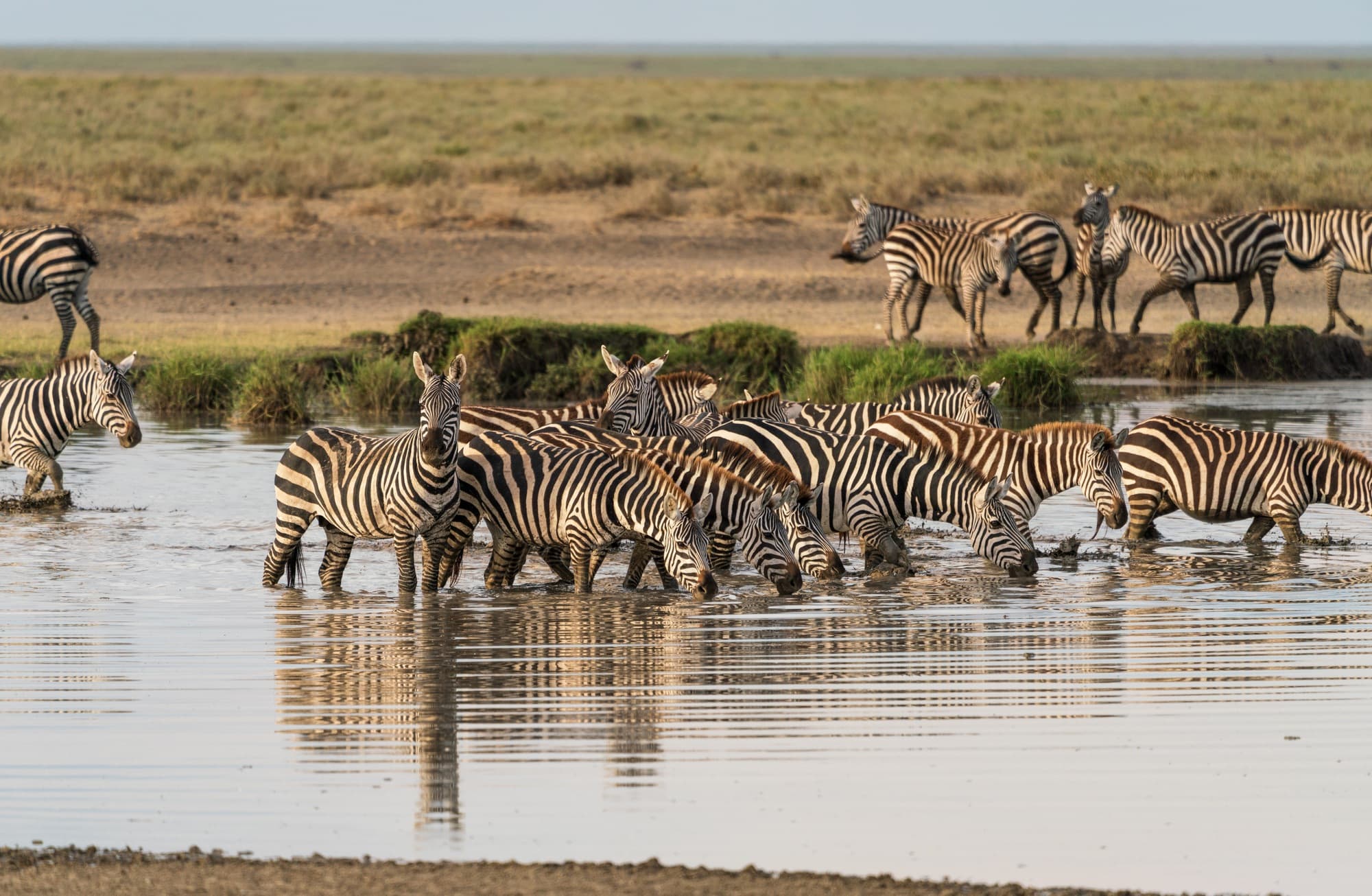 Southern Serengeti photo 62