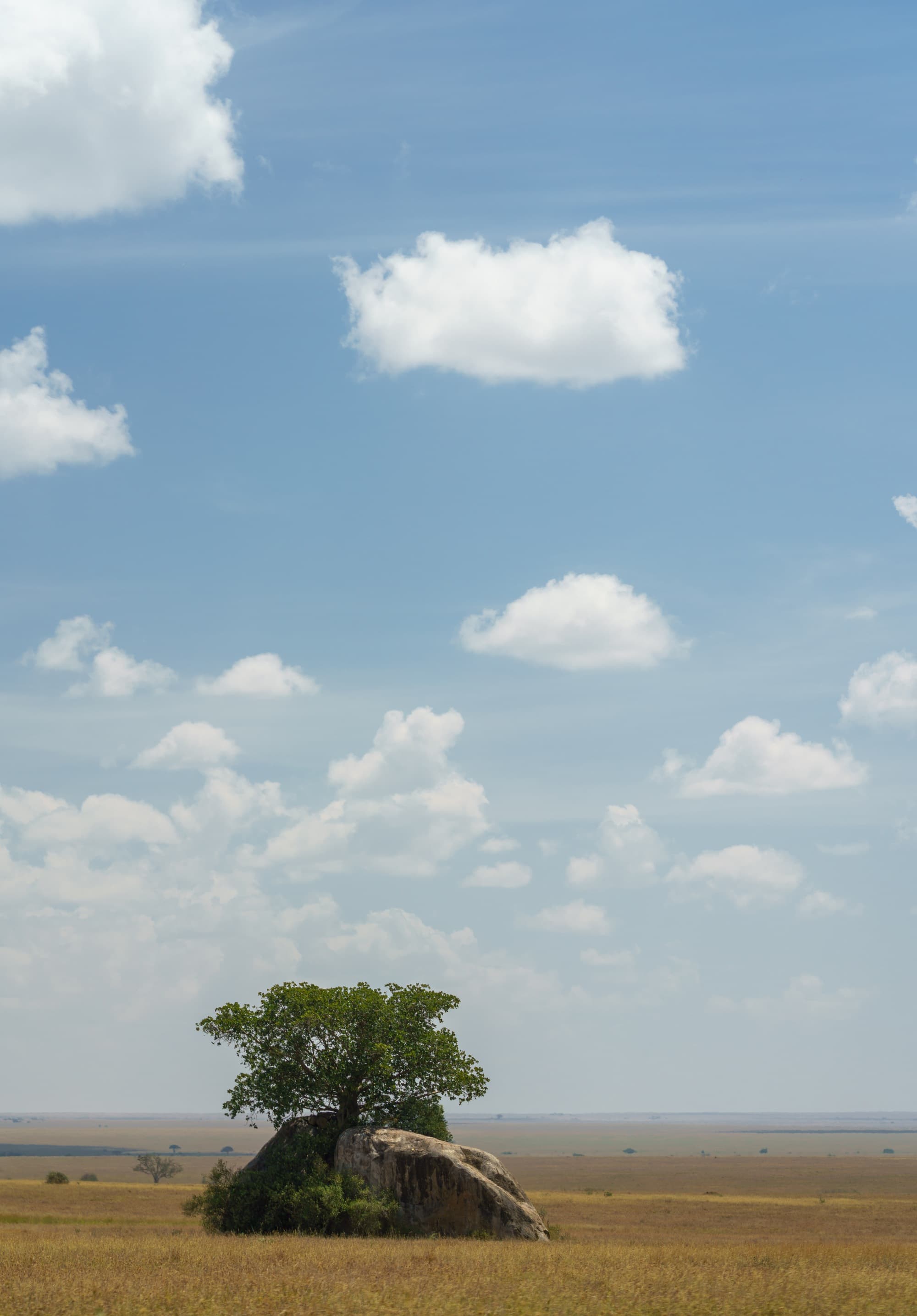 Southern Serengeti photo 44