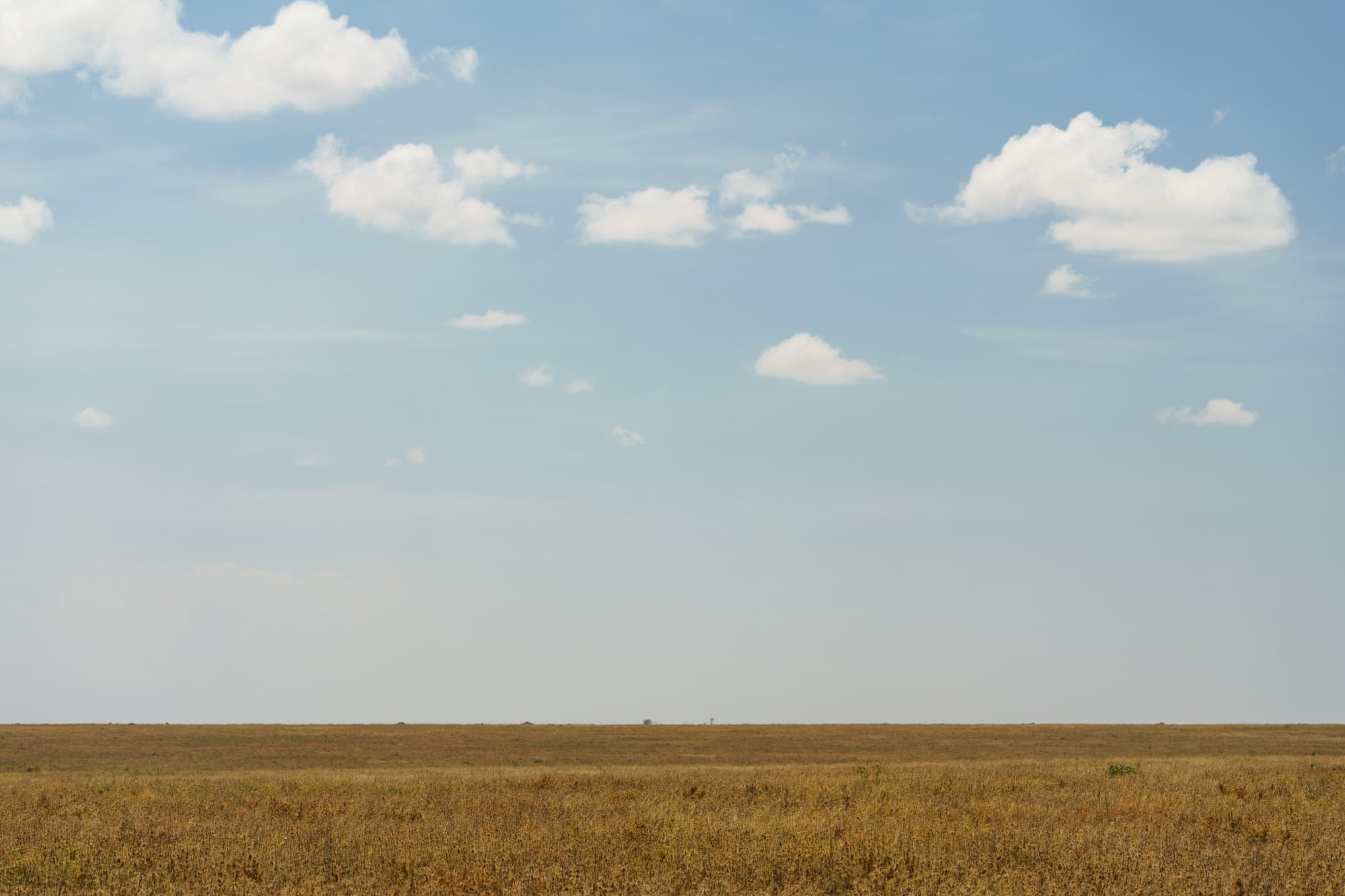 Southern Serengeti photo 45