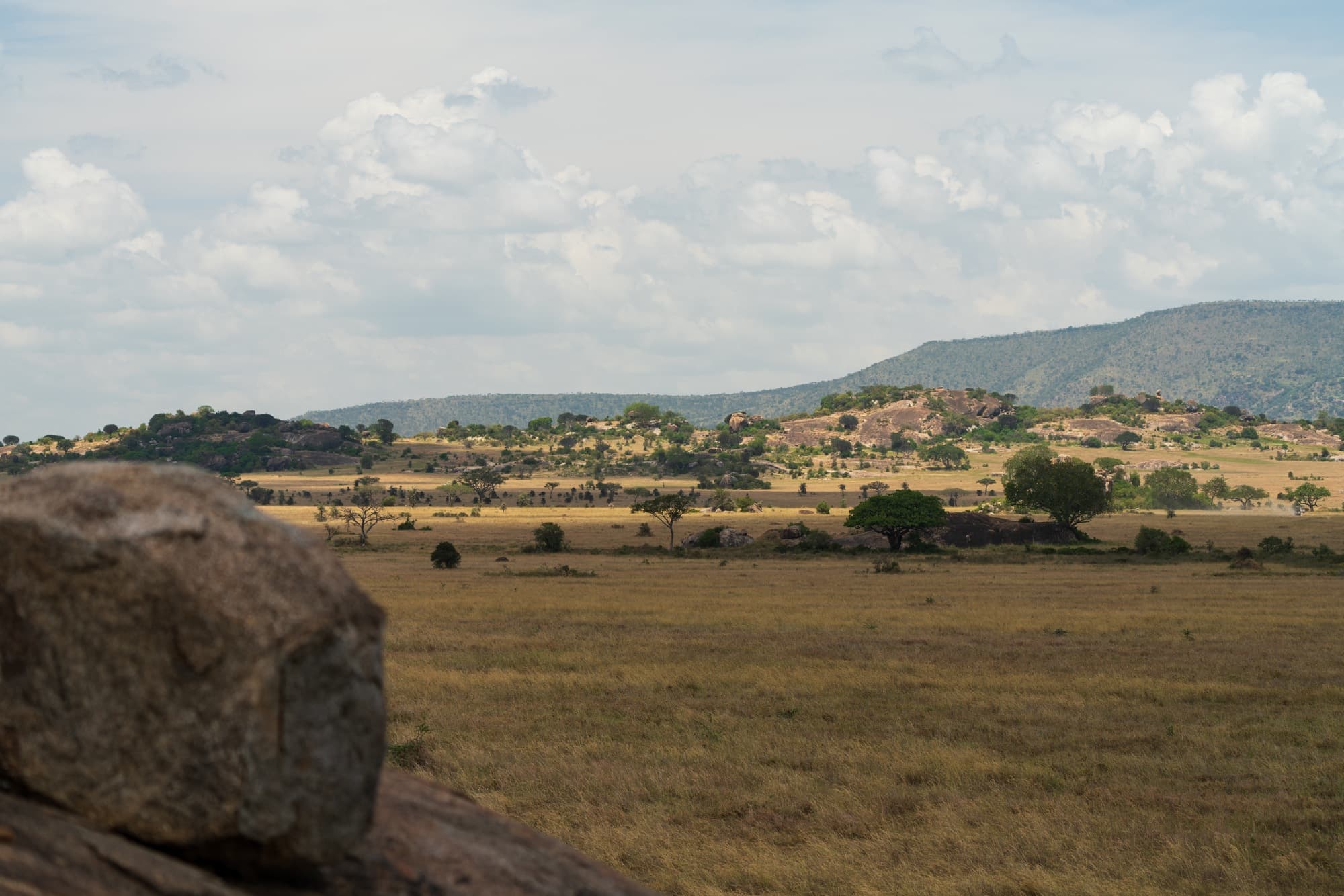Southern Serengeti photo 39