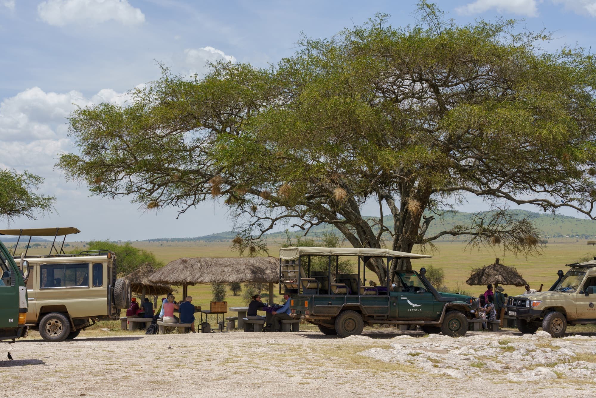 Southern Serengeti photo 34