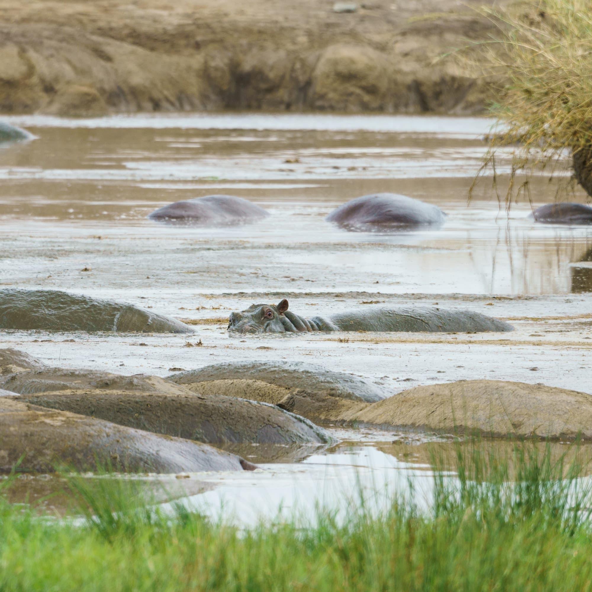 Southern Serengeti photo 25