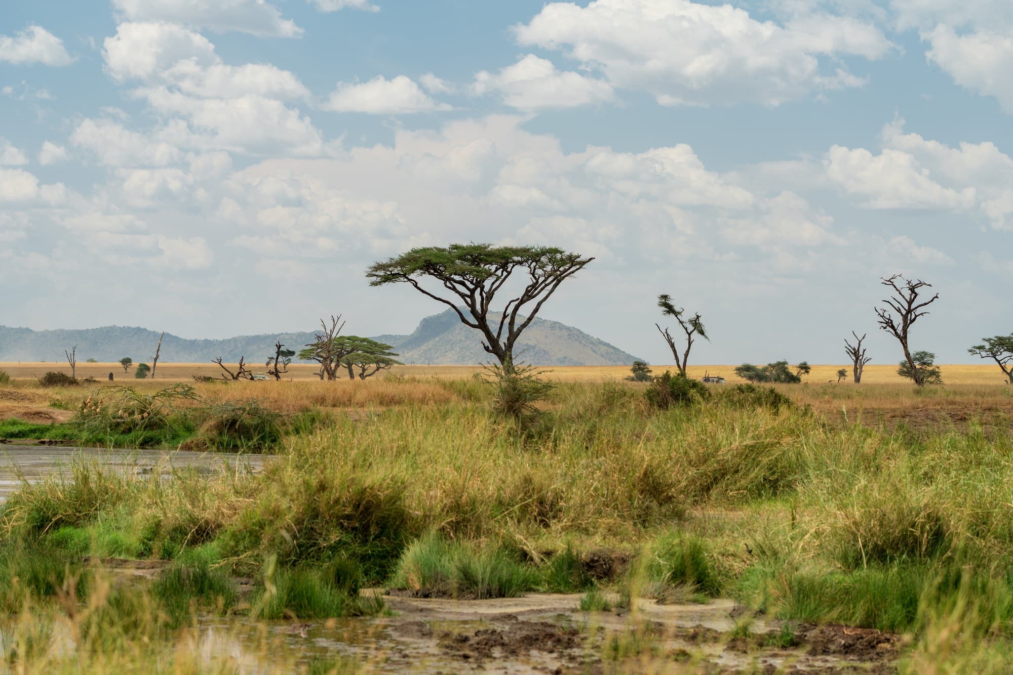 Southern Serengeti photo 27