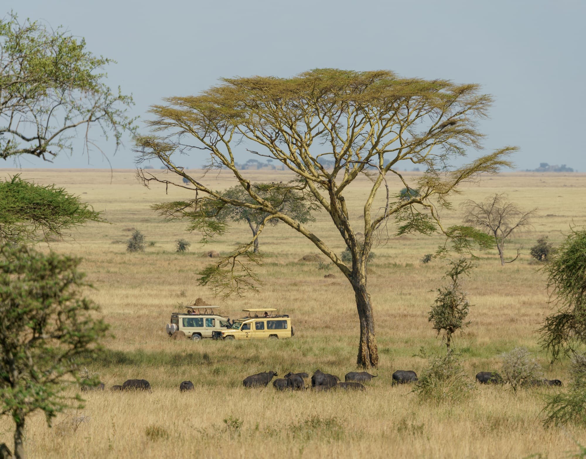 Southern Serengeti photo 28