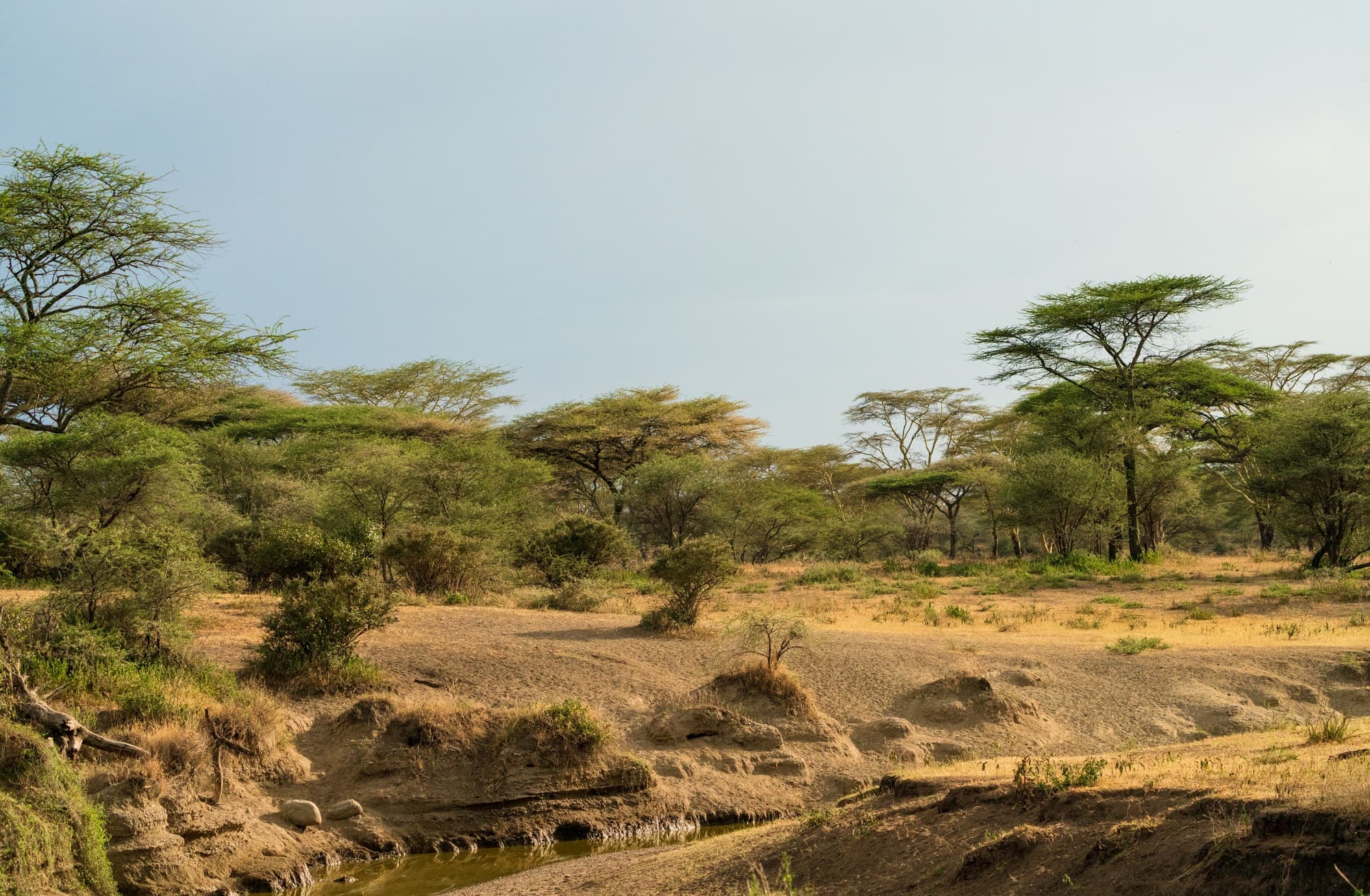 Southern Serengeti photo 32