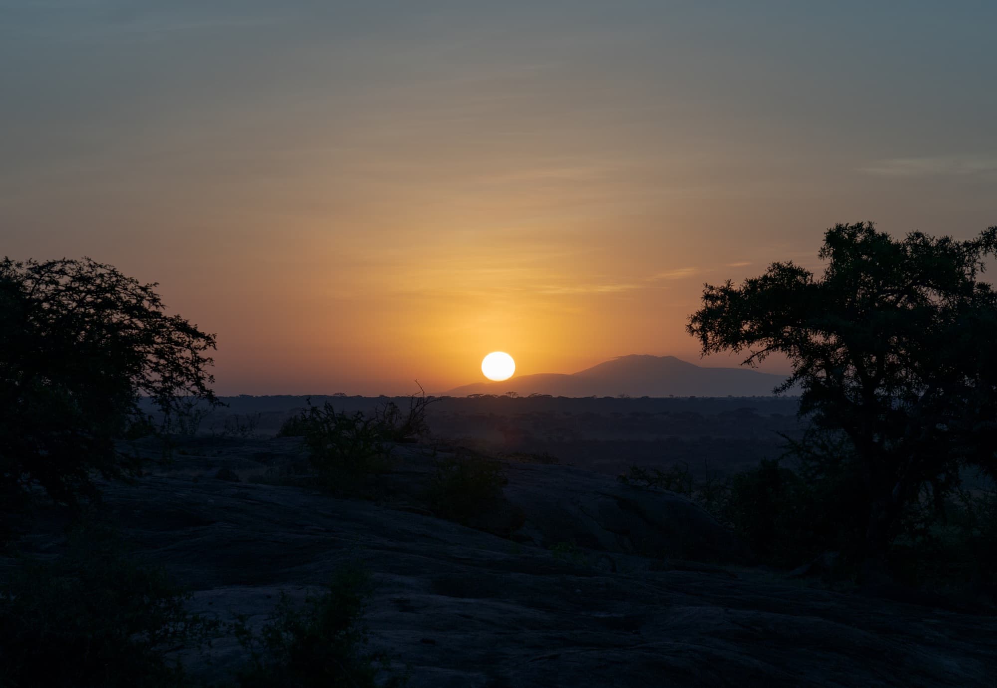 Sunrise in the Serengeti