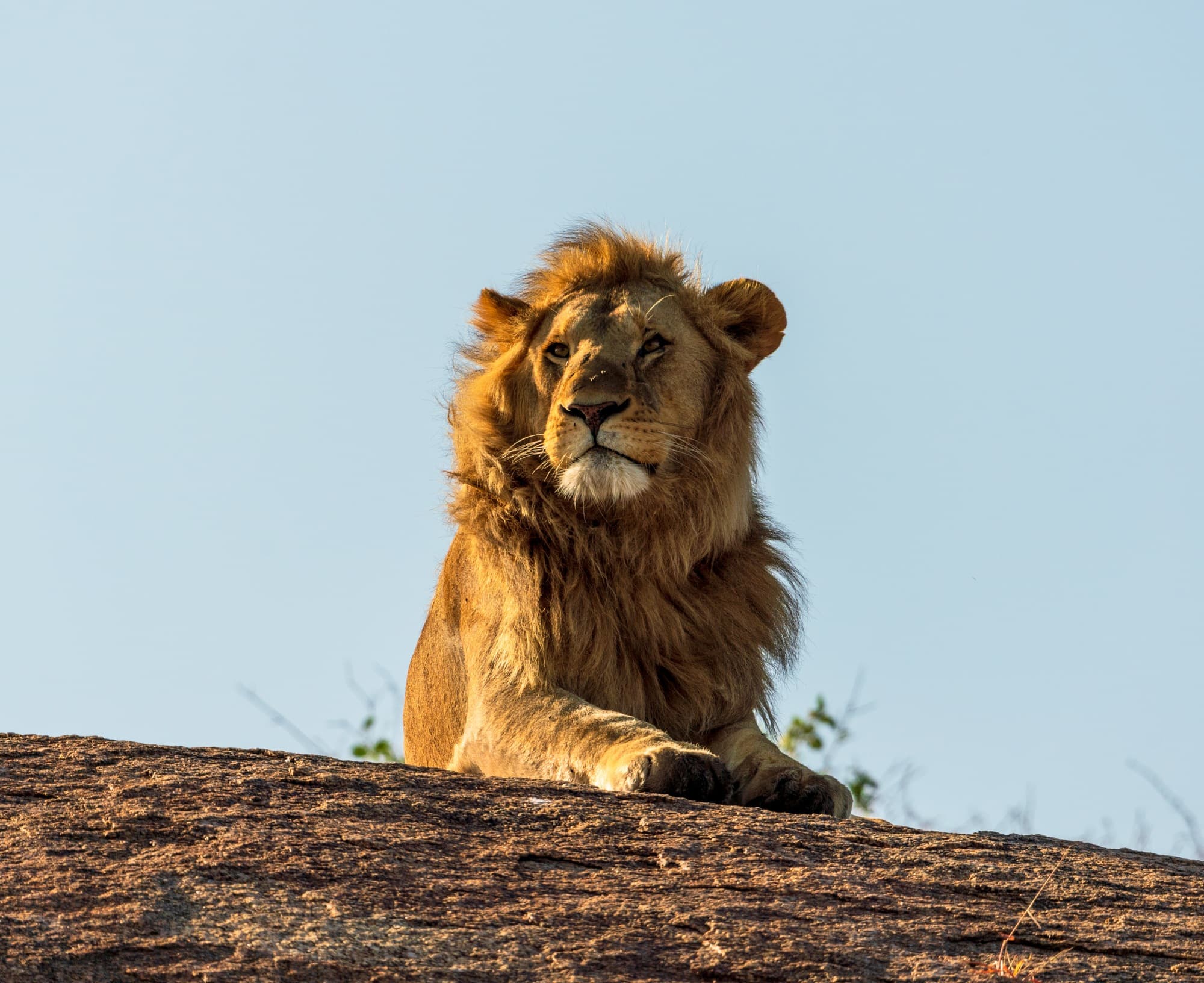 Southern Serengeti photo 16