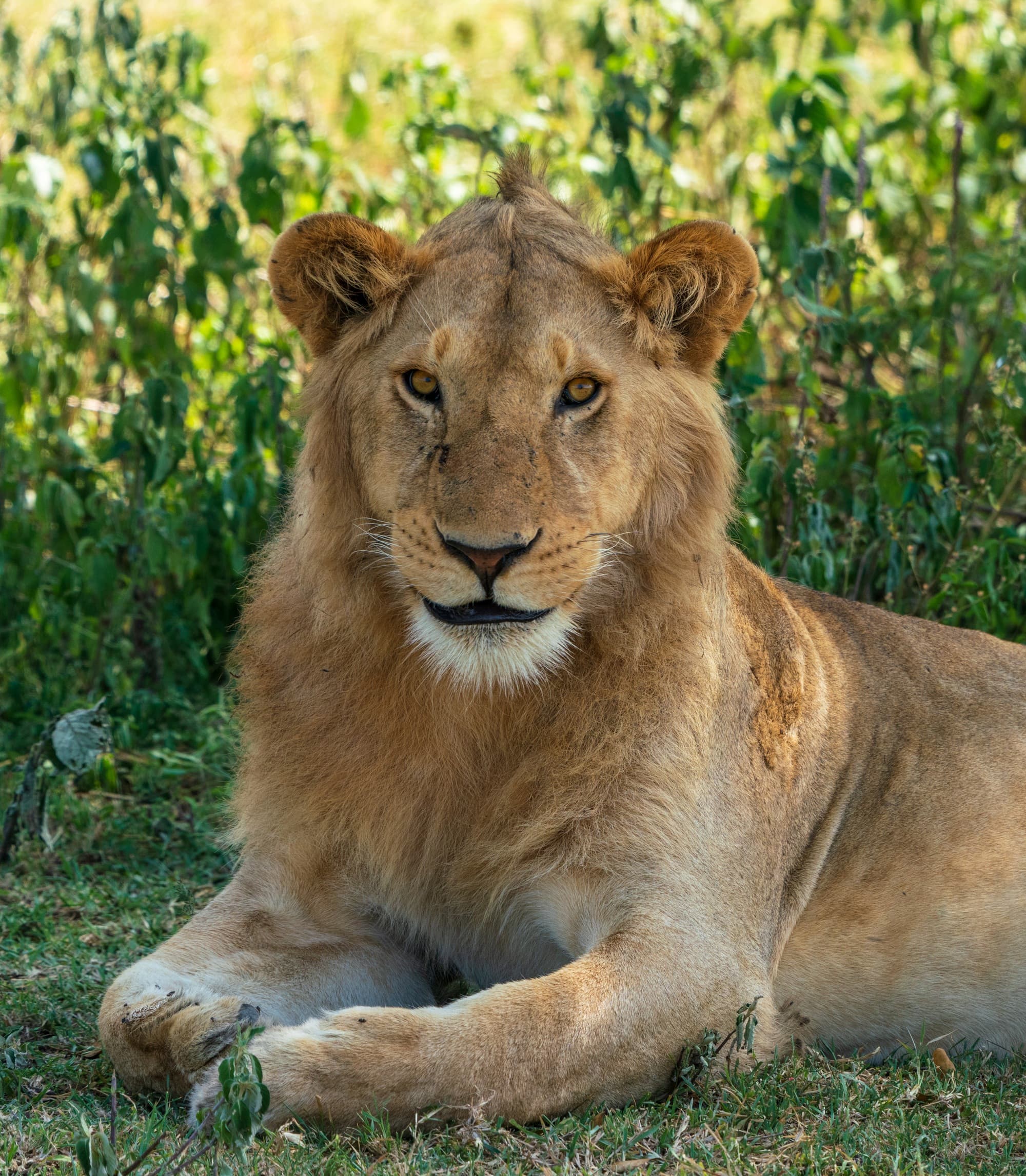 Southern Serengeti photo 21
