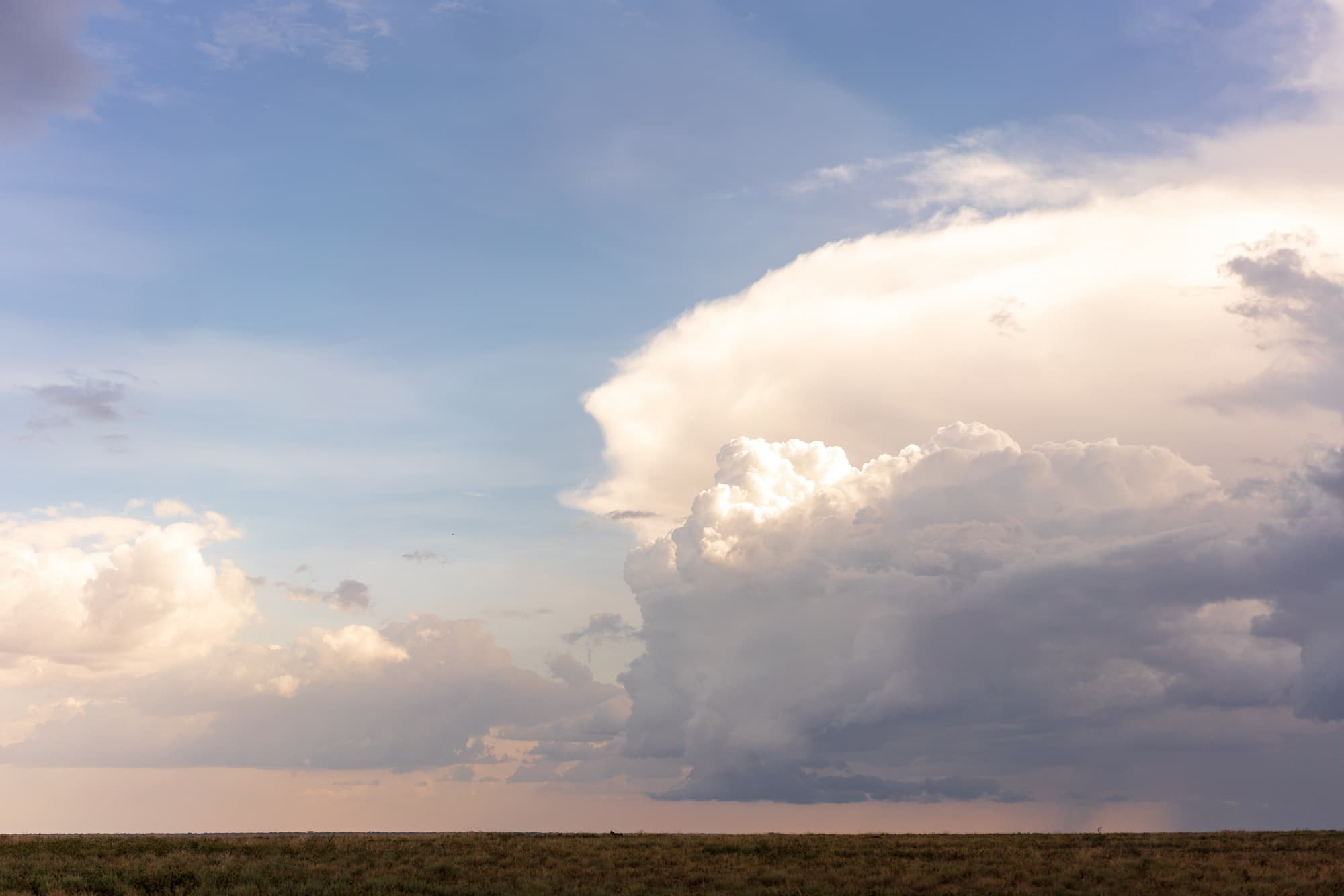Southern Serengeti photo 2