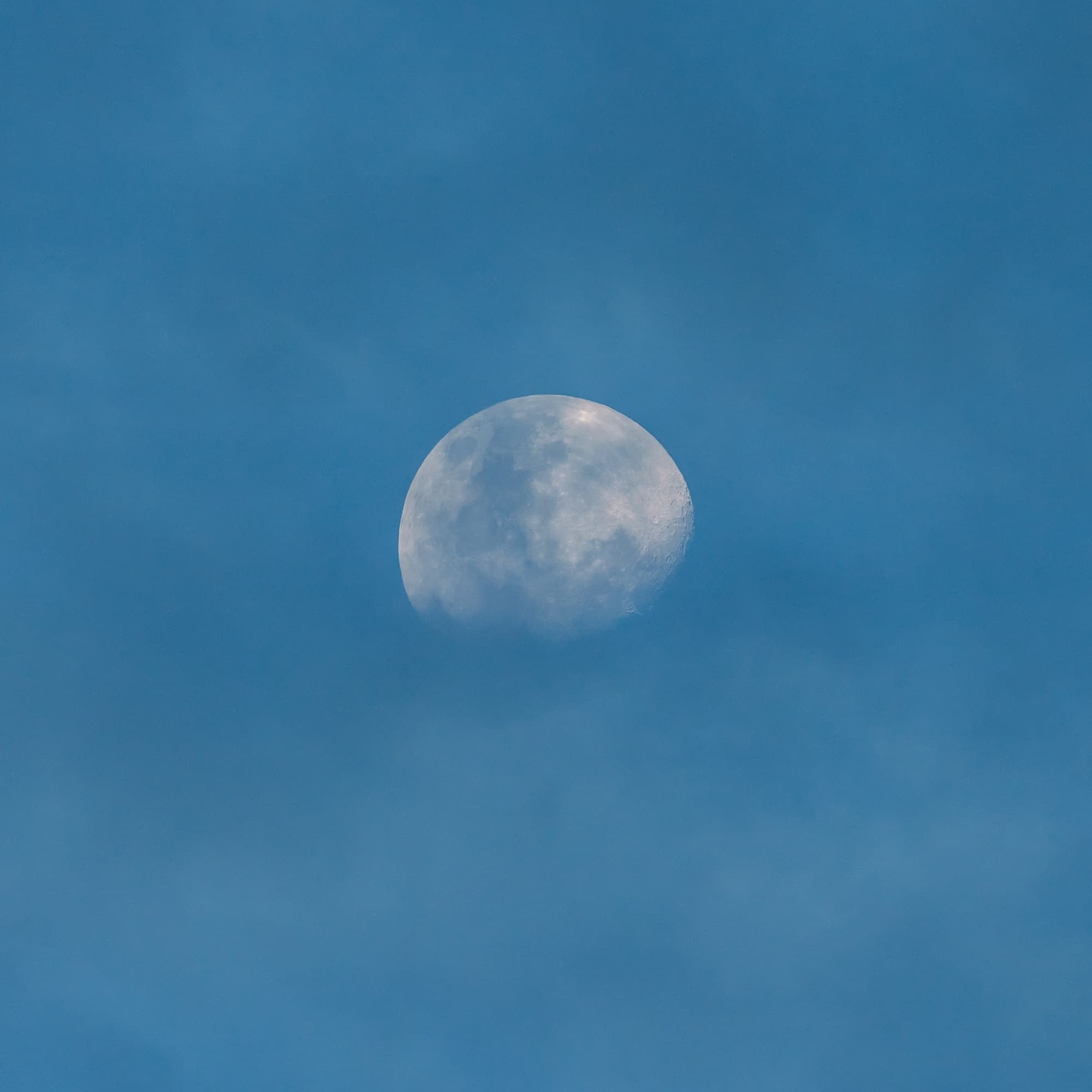 Southern Serengeti photo 9