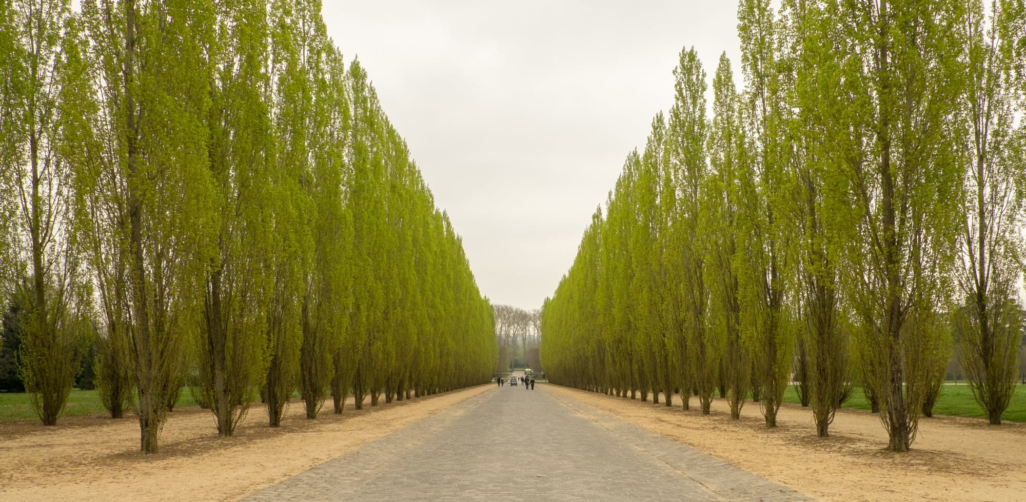 France day 5 photo DSCF3608