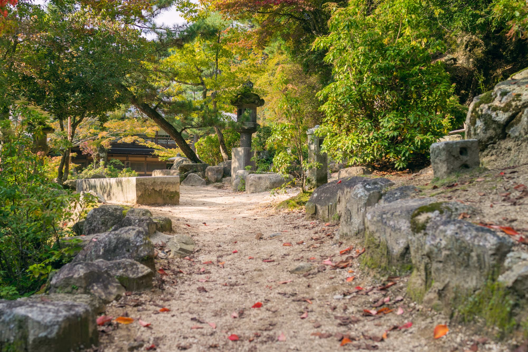 Japan day 10 photo DSC06609