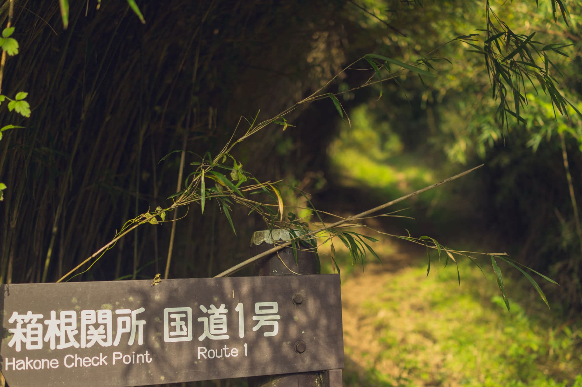 Japan day 4 photo DSC04238