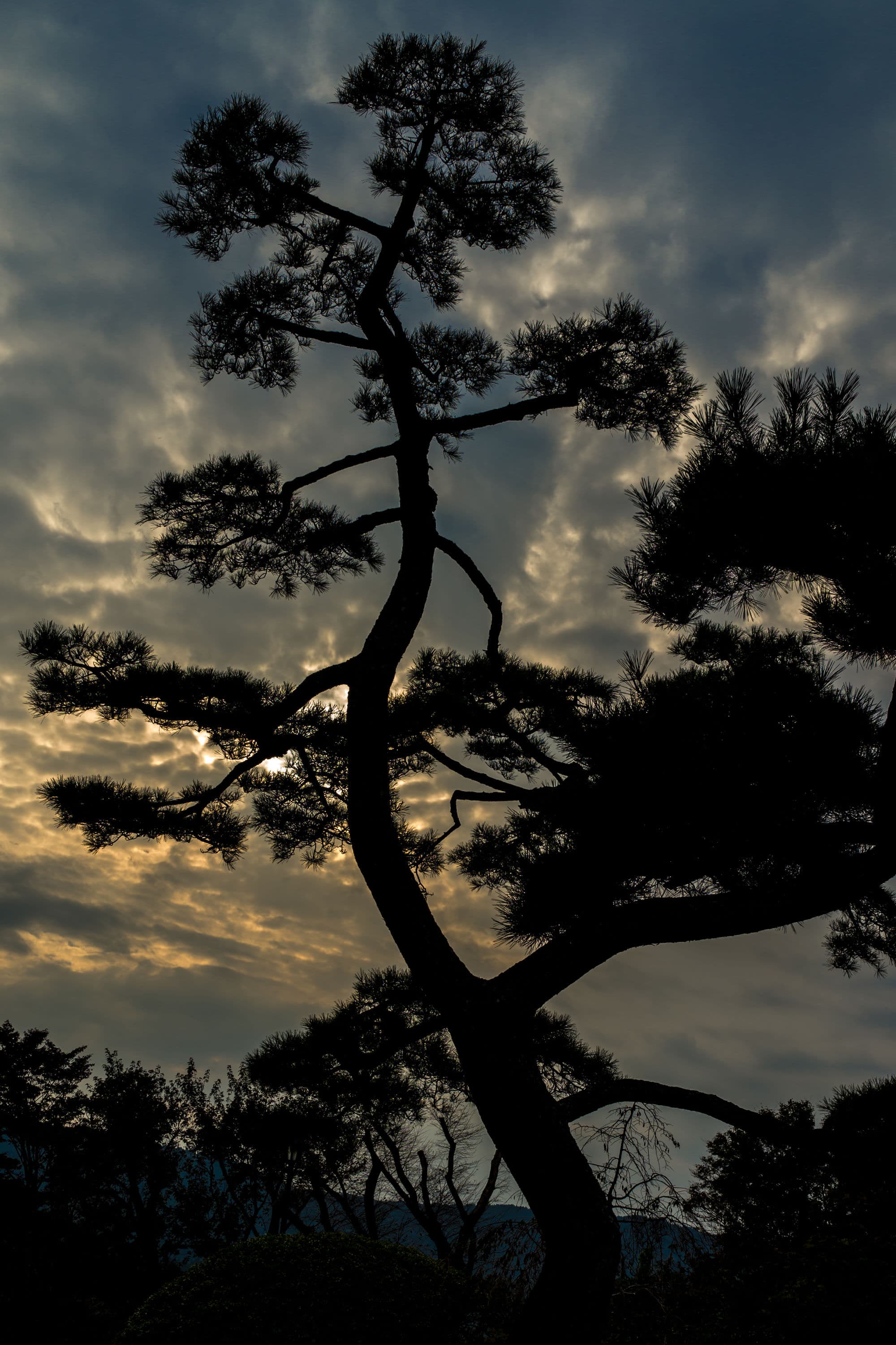 Japan day 4 photo DSC04307