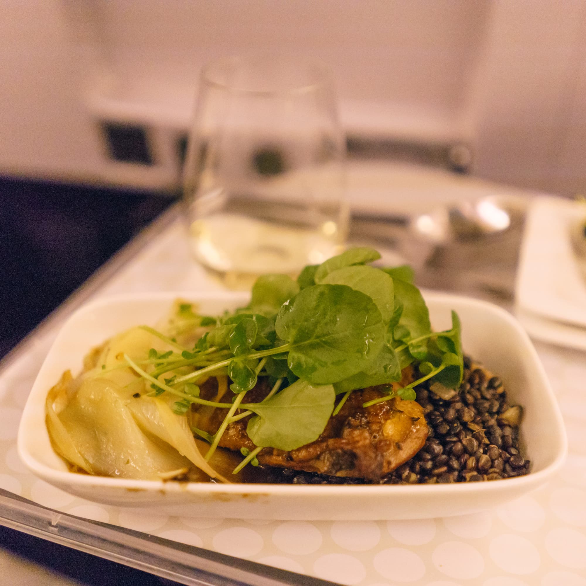 Auckland photo copyright-paulstamatiou_com-DSC07463