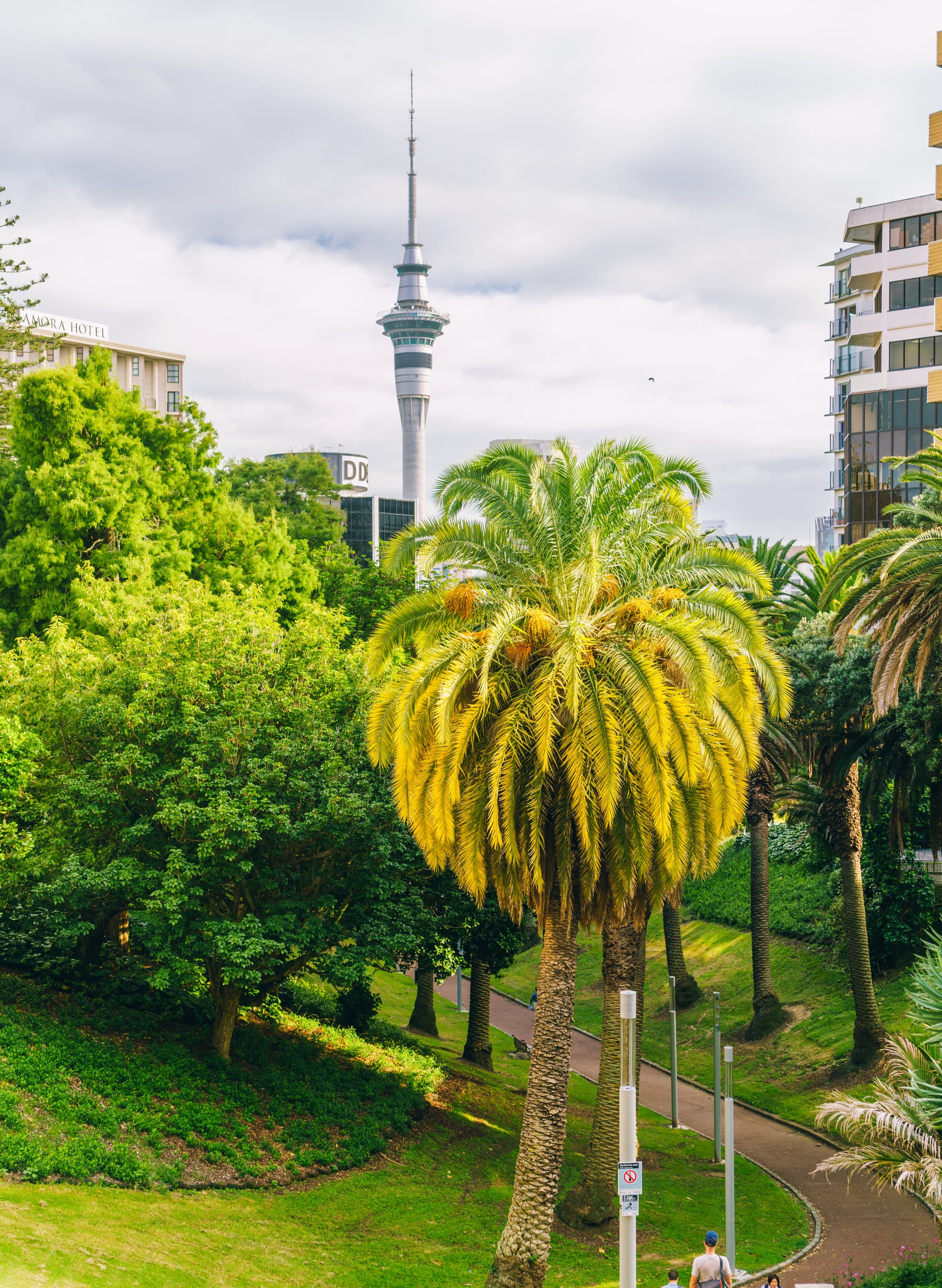 Auckland photo copyright-paulstamatiou_com-DSC07541