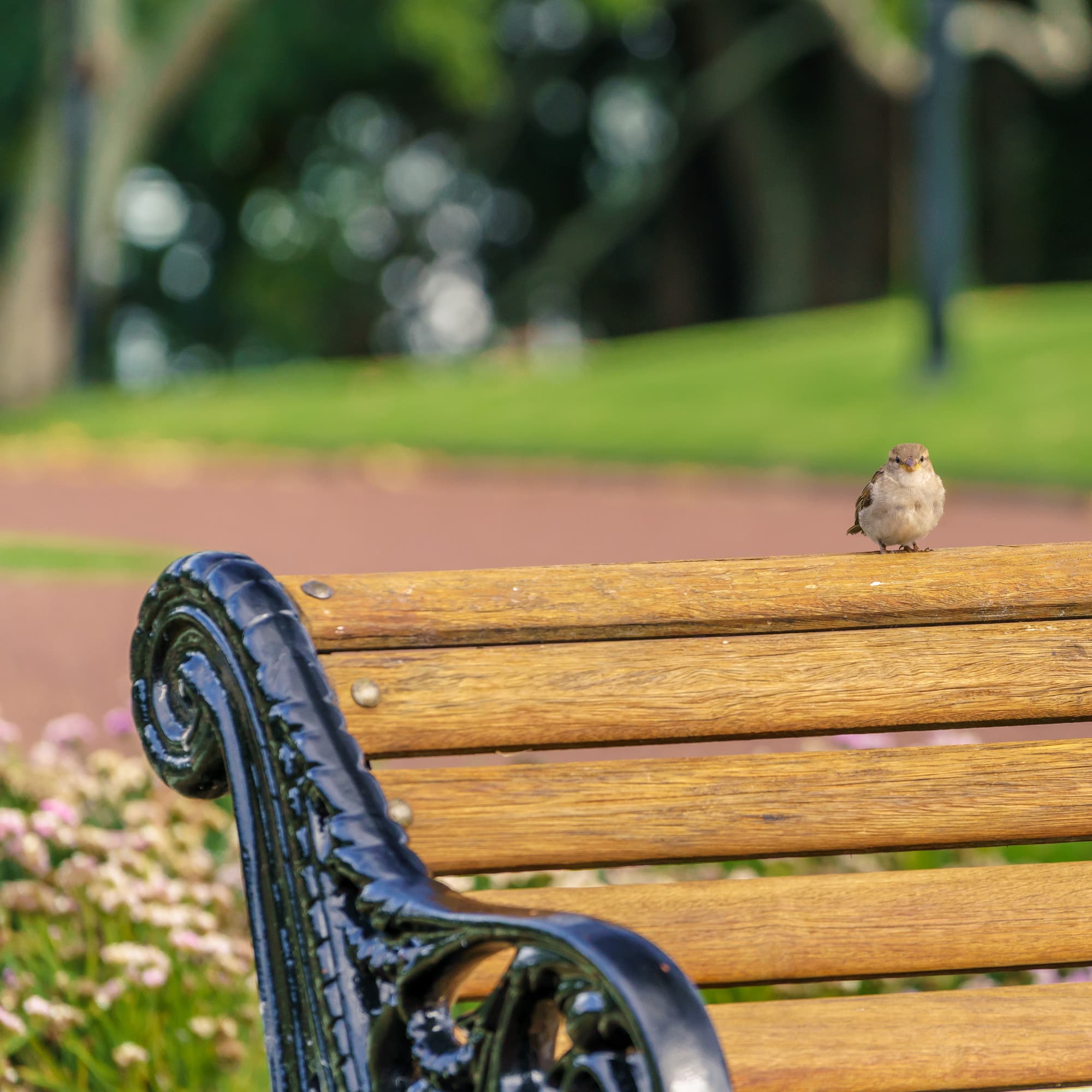 Auckland photo copyright-paulstamatiou_com-DSC07679