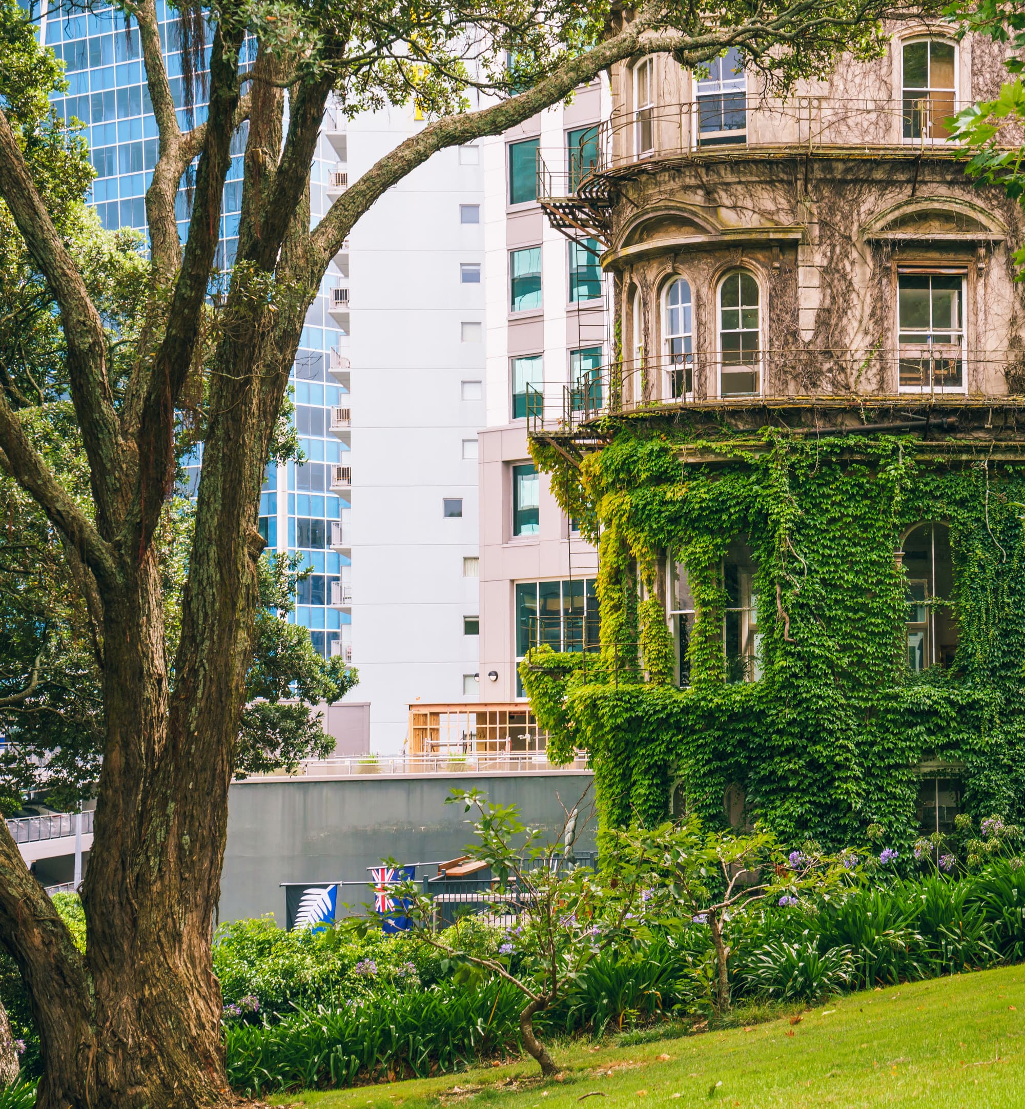 Auckland photo copyright-paulstamatiou_com-DSC07688