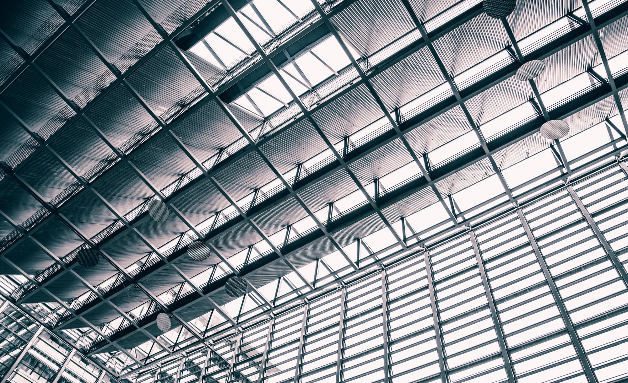 Auckland photo copyright-paulstamatiou_com-DSC07774