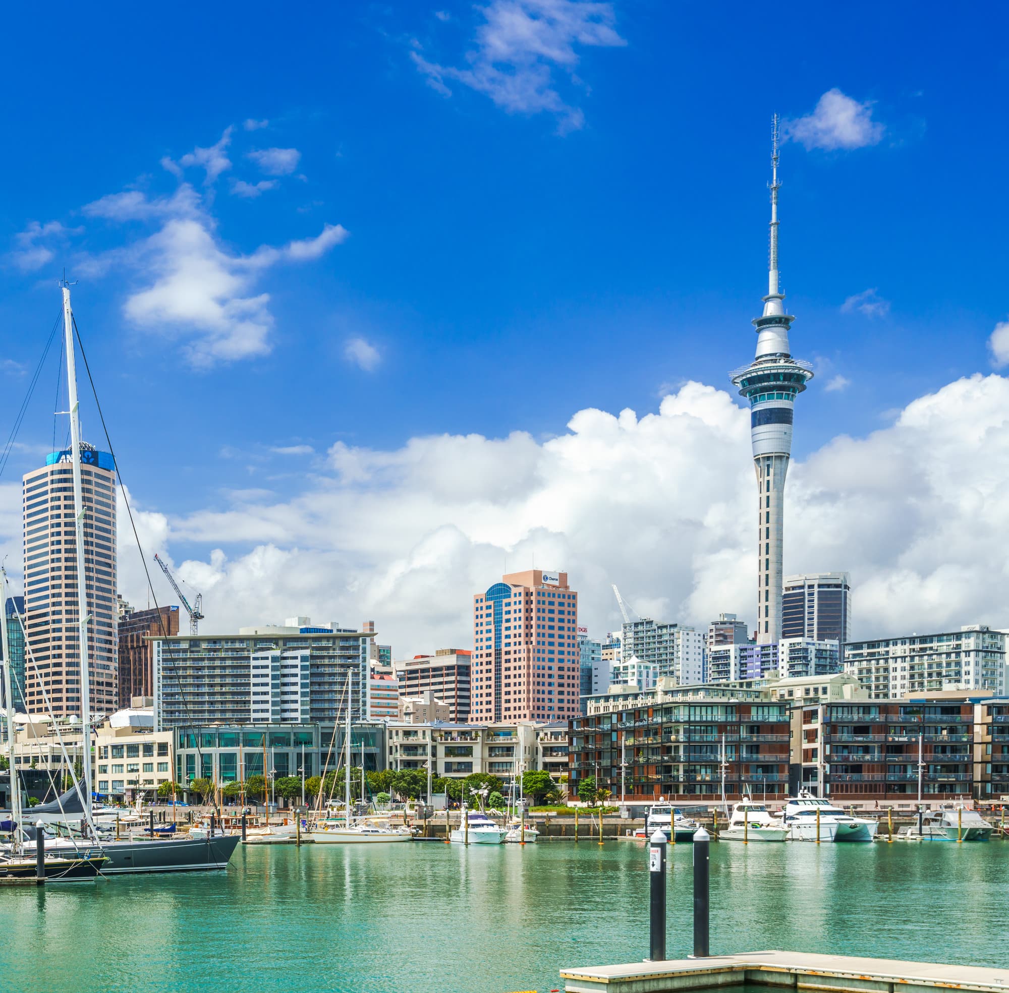 Auckland photo copyright-paulstamatiou_com-DSC07891